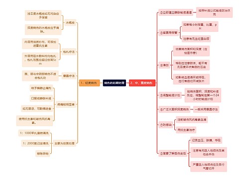 医学知识烧伤的初期处理思维导图