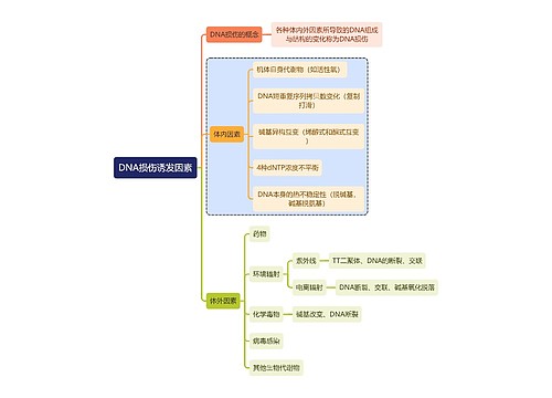 医学知识DNA损伤诱发因素思维导图