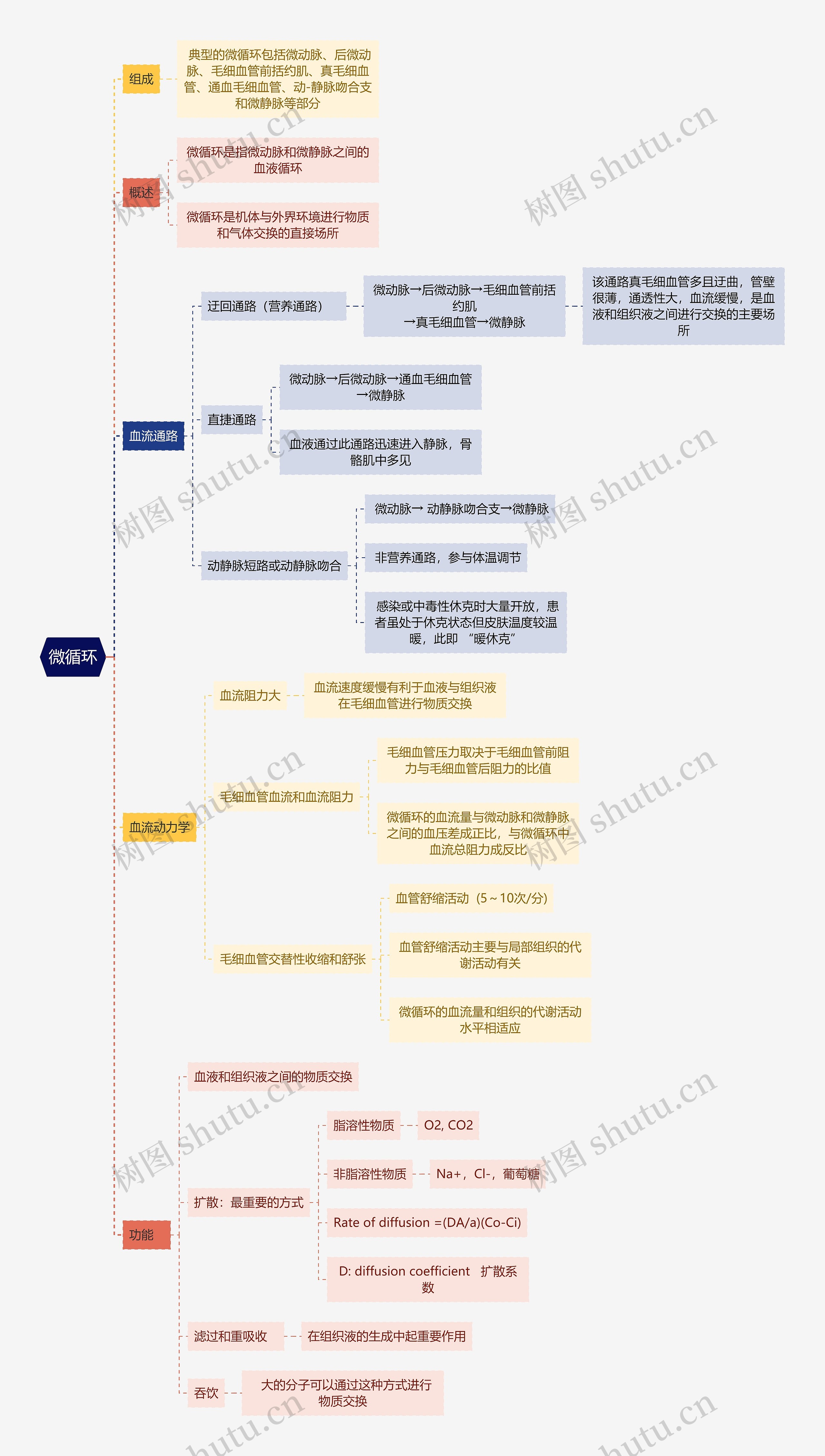 医学知识微循环思维导图