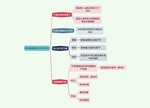 医学知识甲状腺激素对生长的作用思维导图