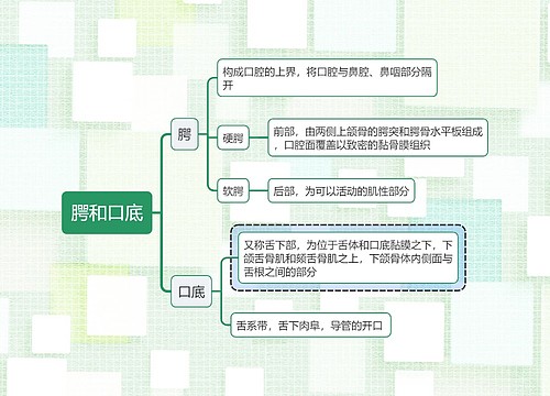 医学知识腭和口底思维导图