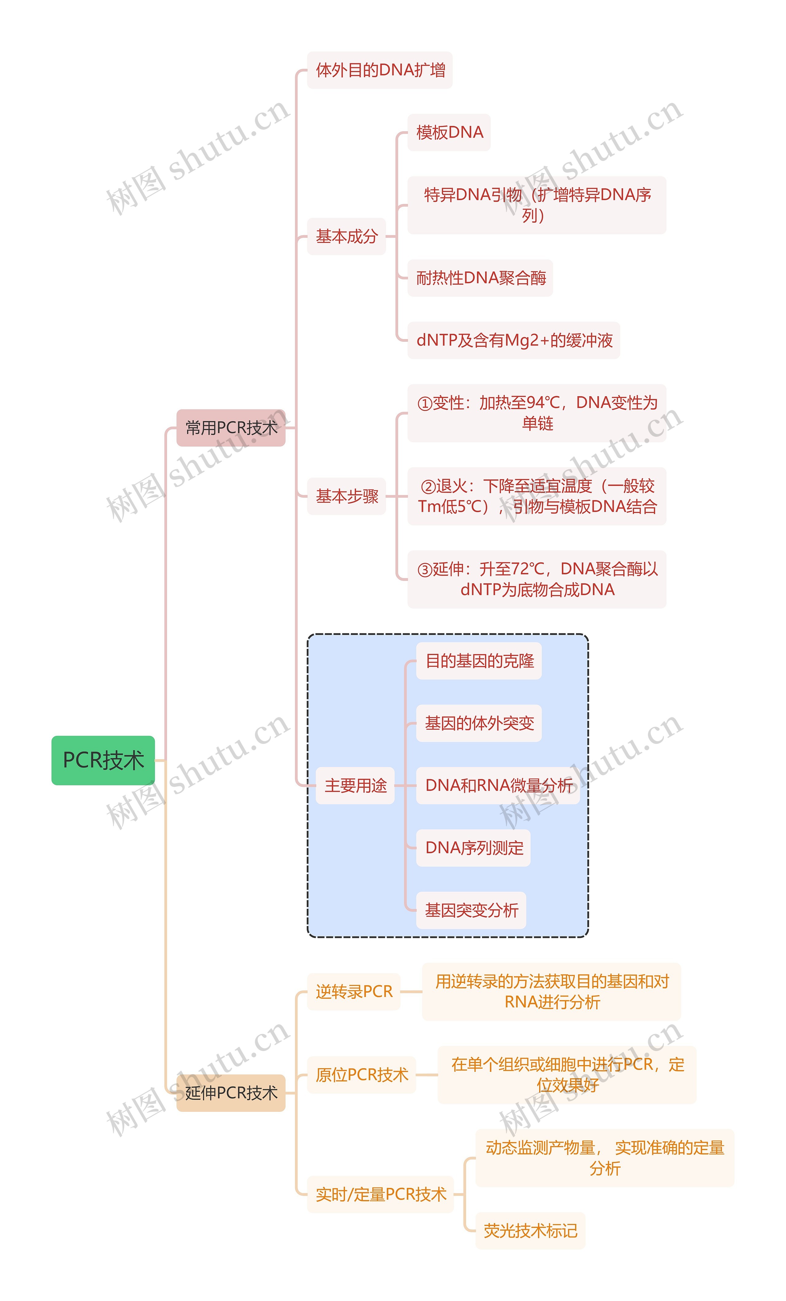 医学知识PCR技术思维导图