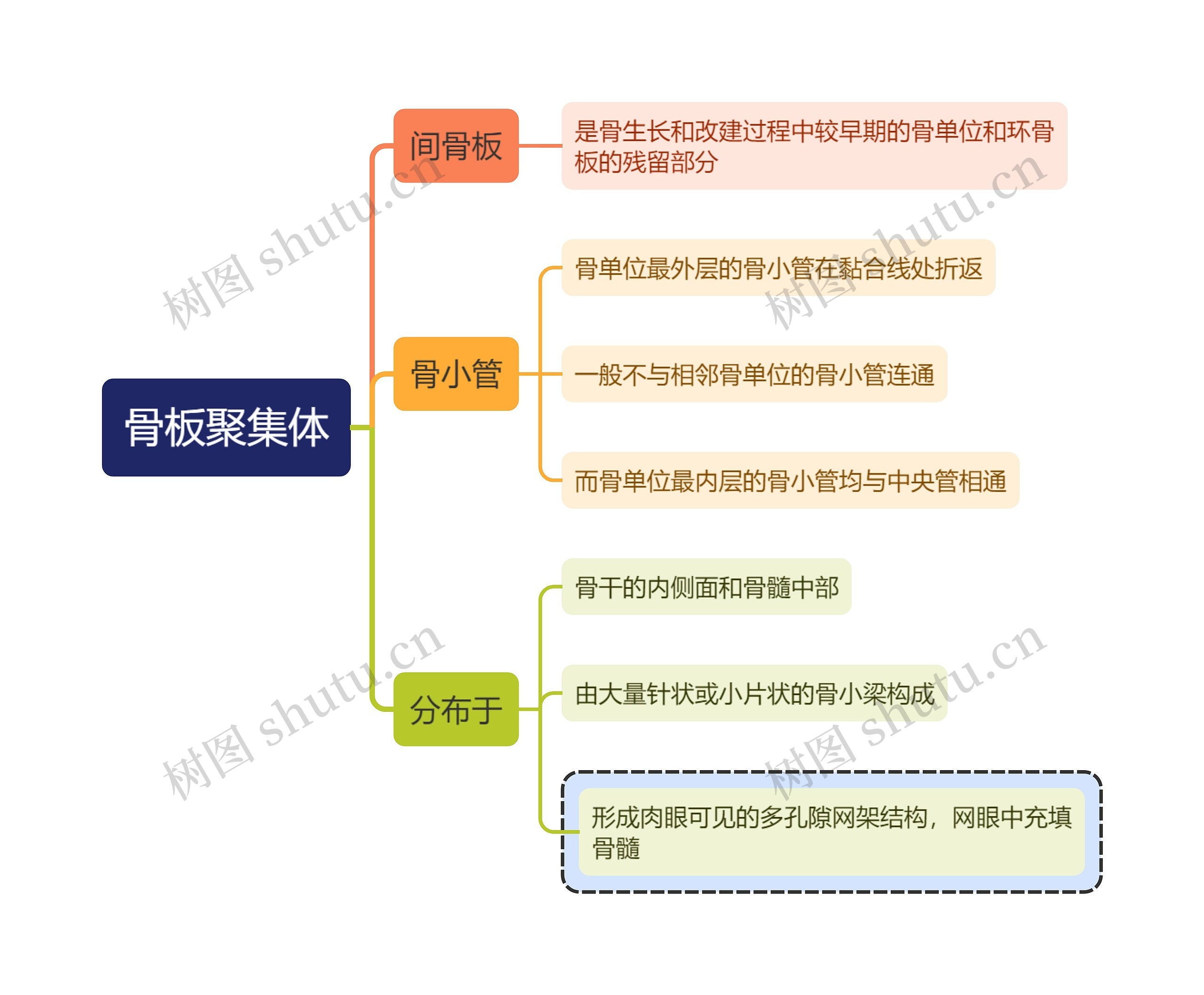 医学知识骨板聚集体思维导图