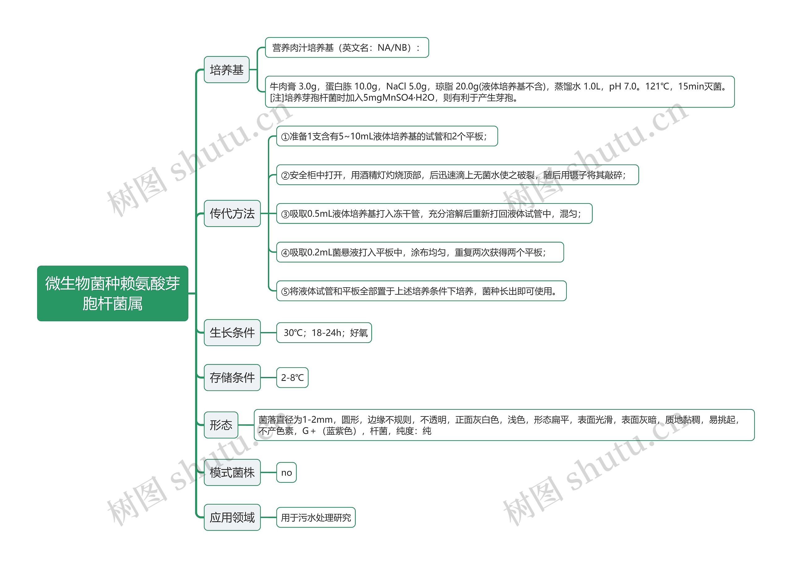 微生物菌种赖氨酸芽胞杆菌属思维导图