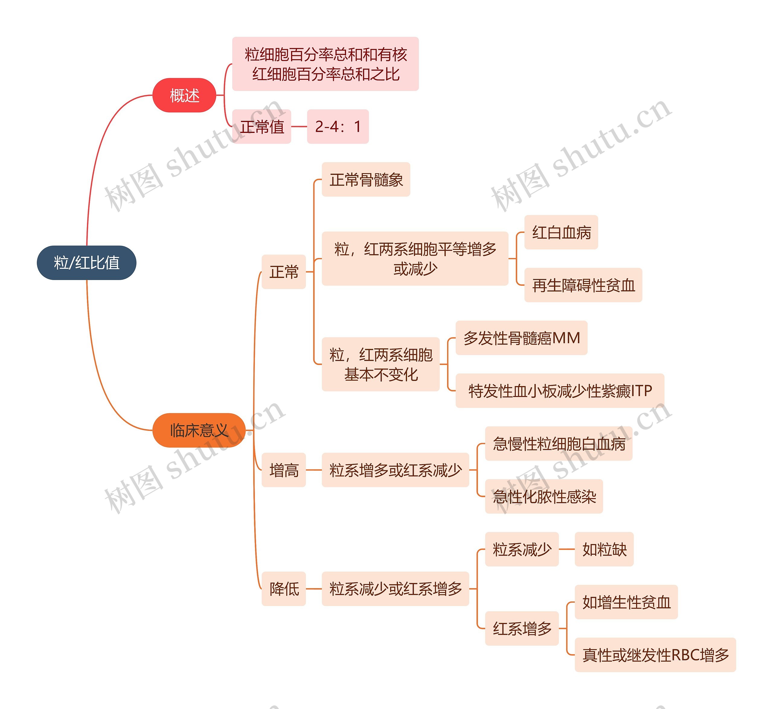 医学知识粒/红比值思维导图