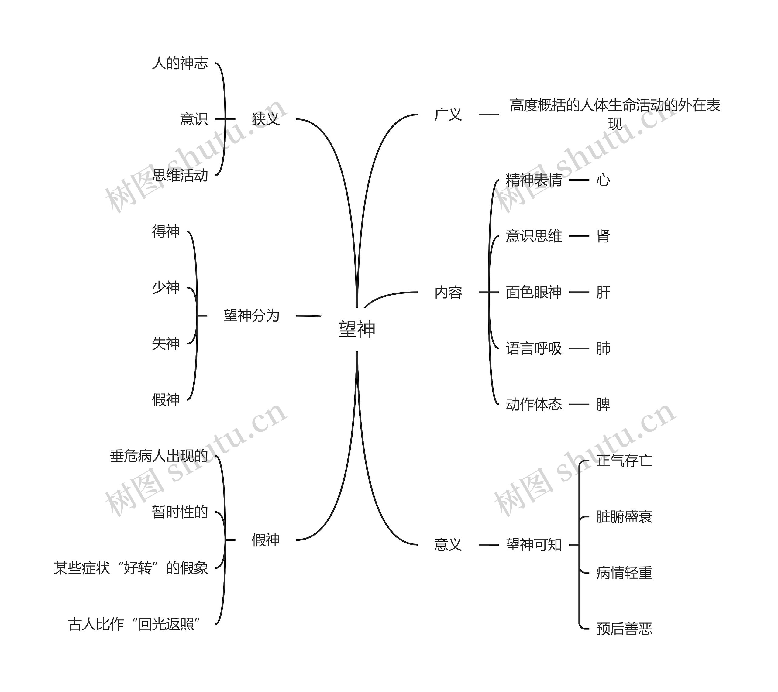 中医知识望神思维导图
