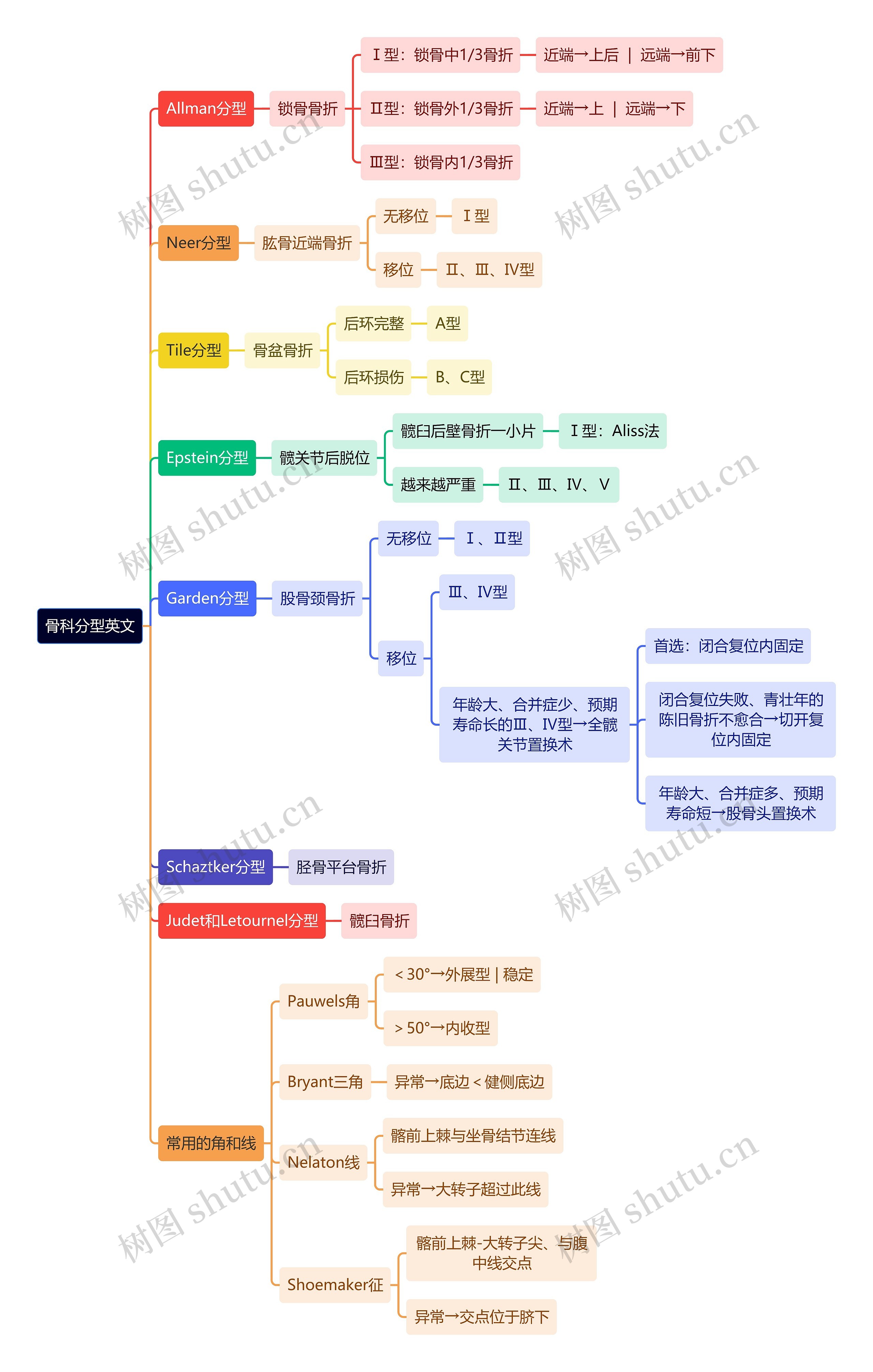 骨学知识骨科分型英文思维导图