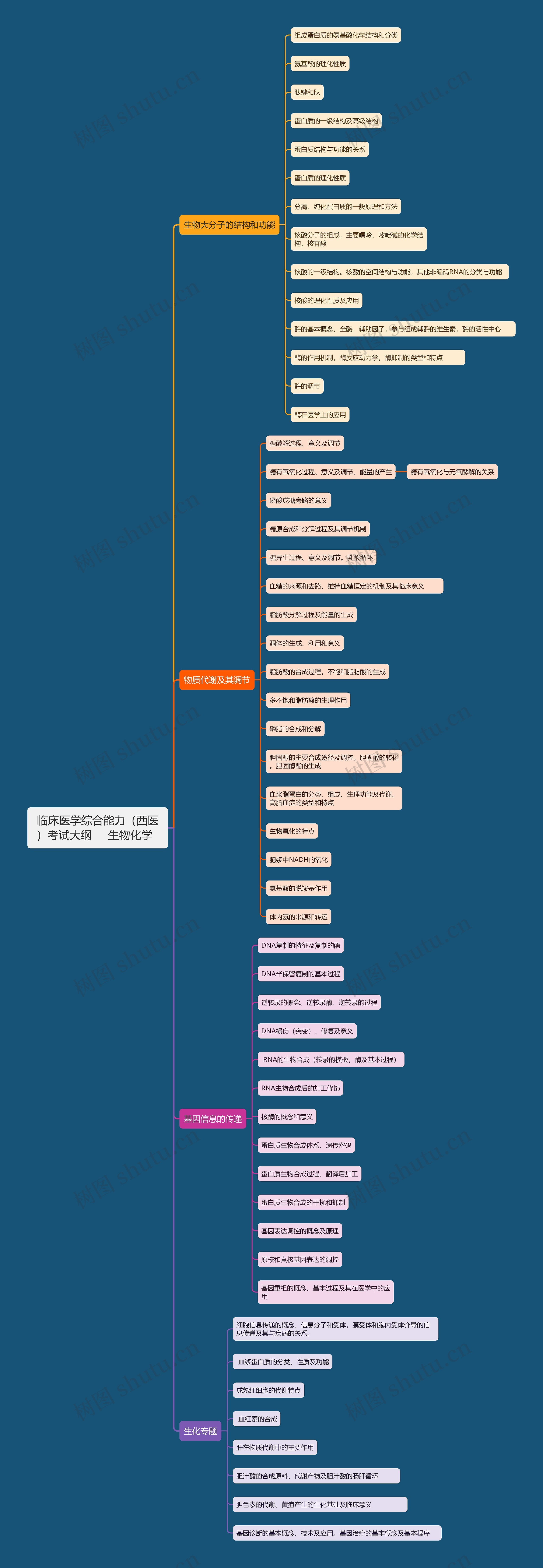 临床医学综合能力（西医）考试大纲     生物化学  思维导图