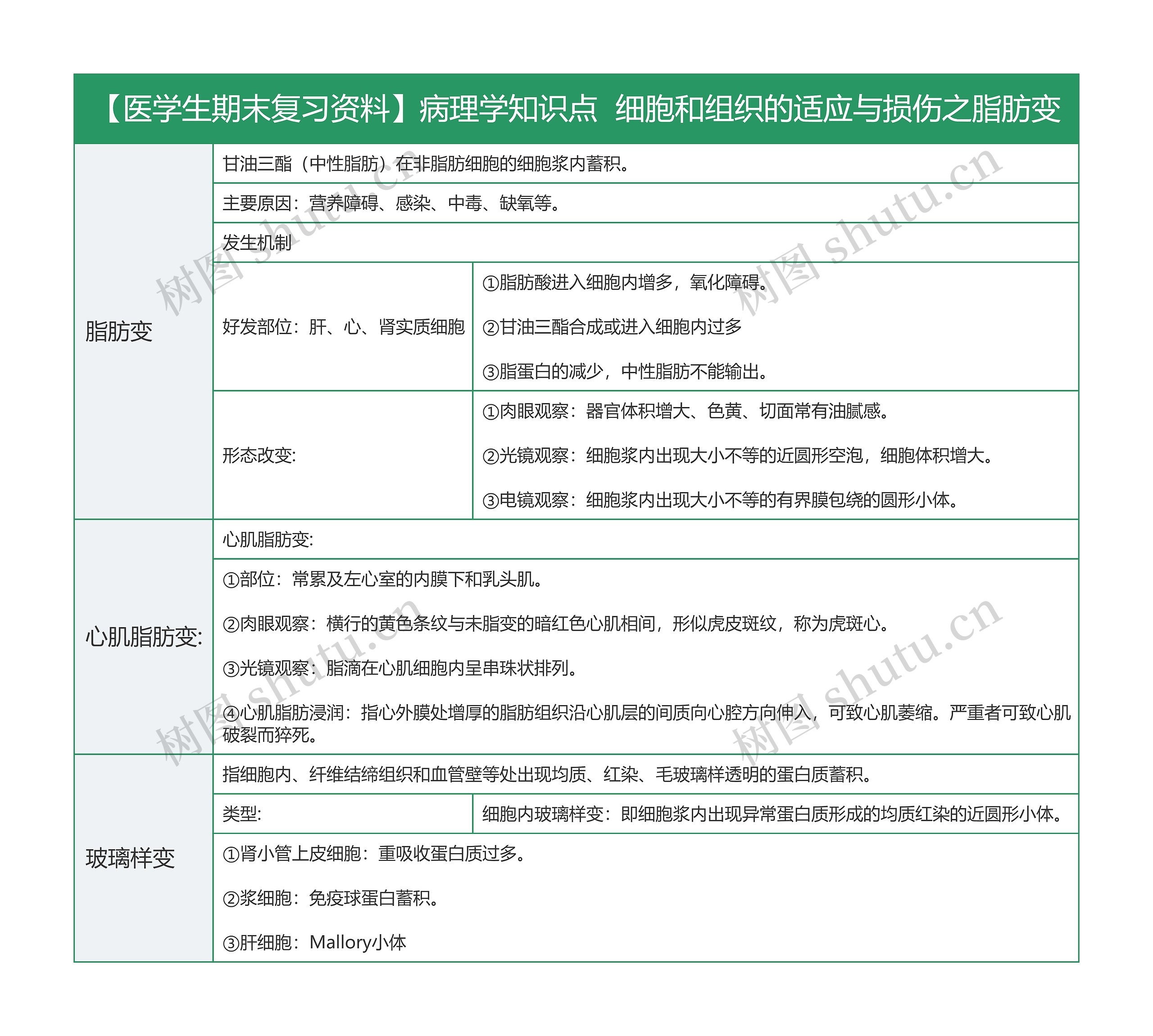 【医学生期末复习资料】病理学知识点  细胞和组织的适应与损伤之脂肪变思维导图