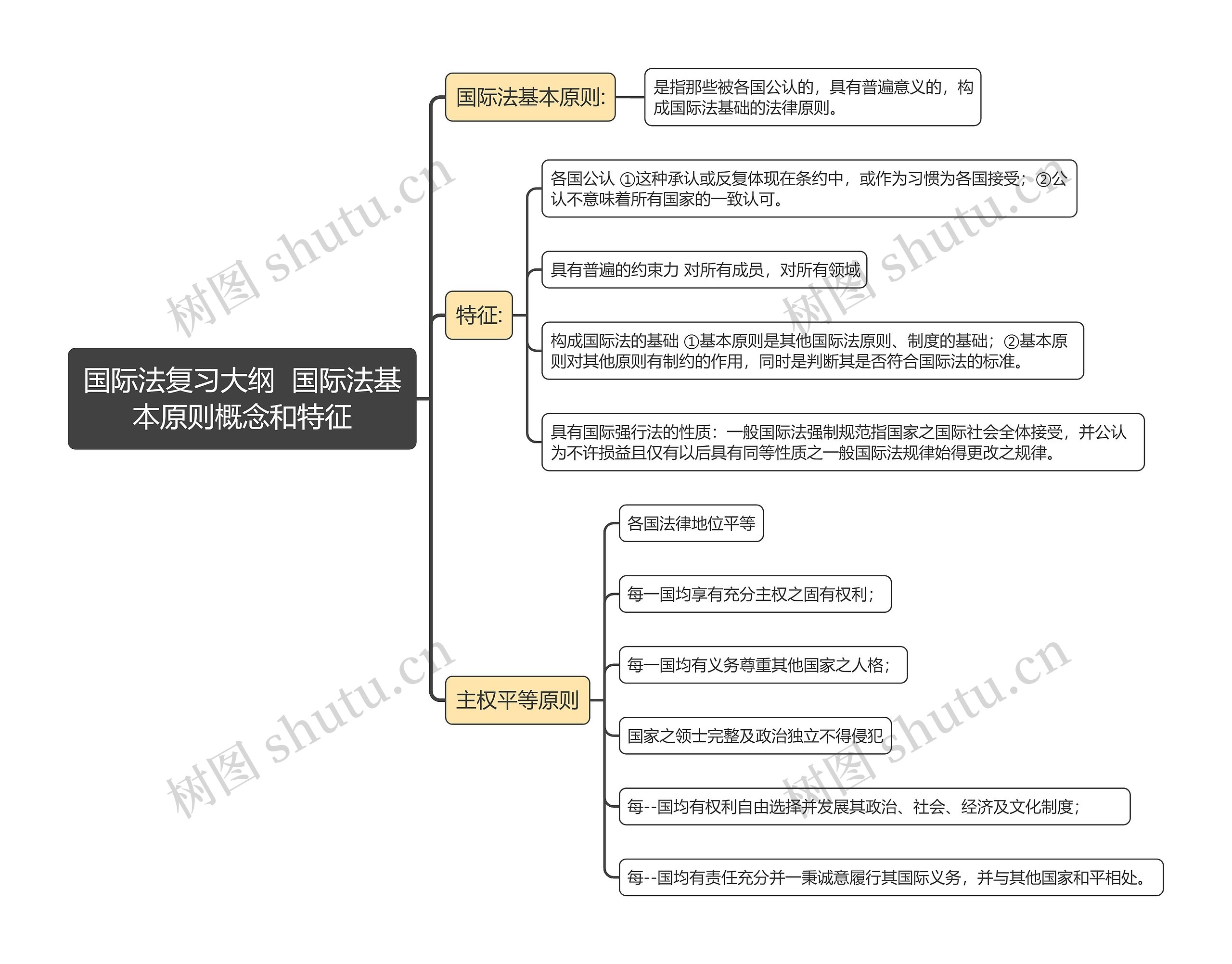 国际法复习大纲  国际法基本原则概念和特征思维导图