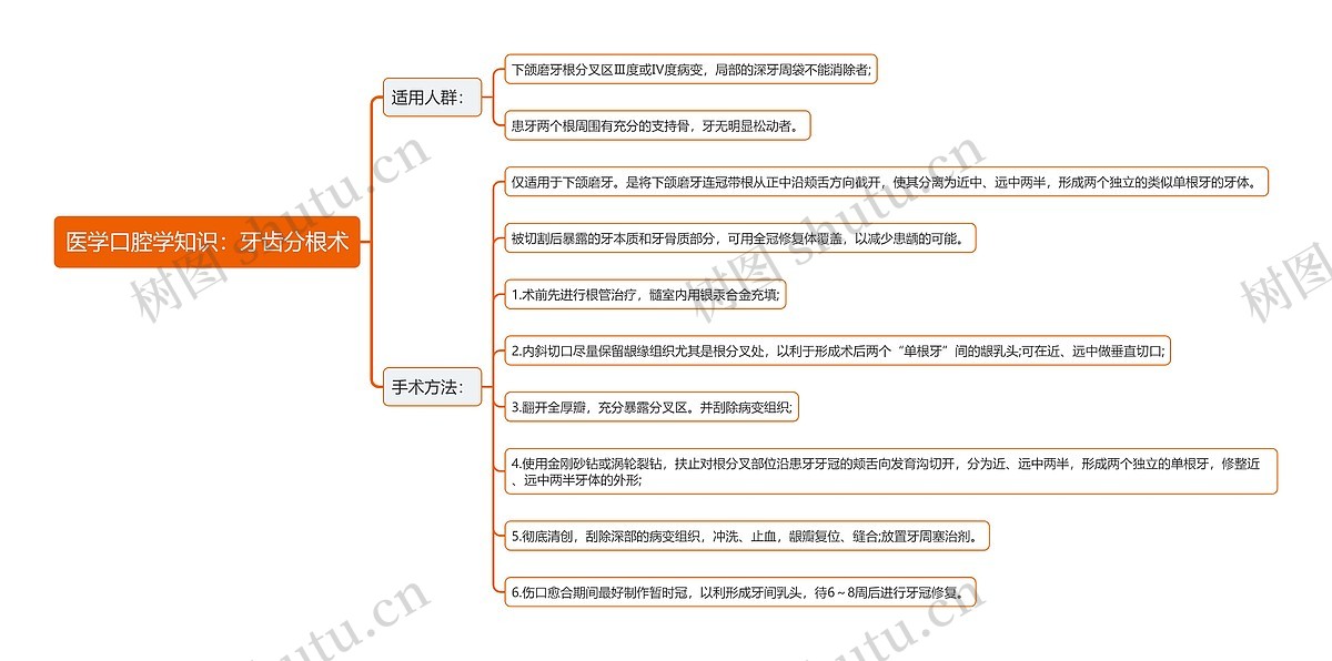 医学口腔学知识:牙齿分根术思维导图_编号t6898974-TreeMind树图