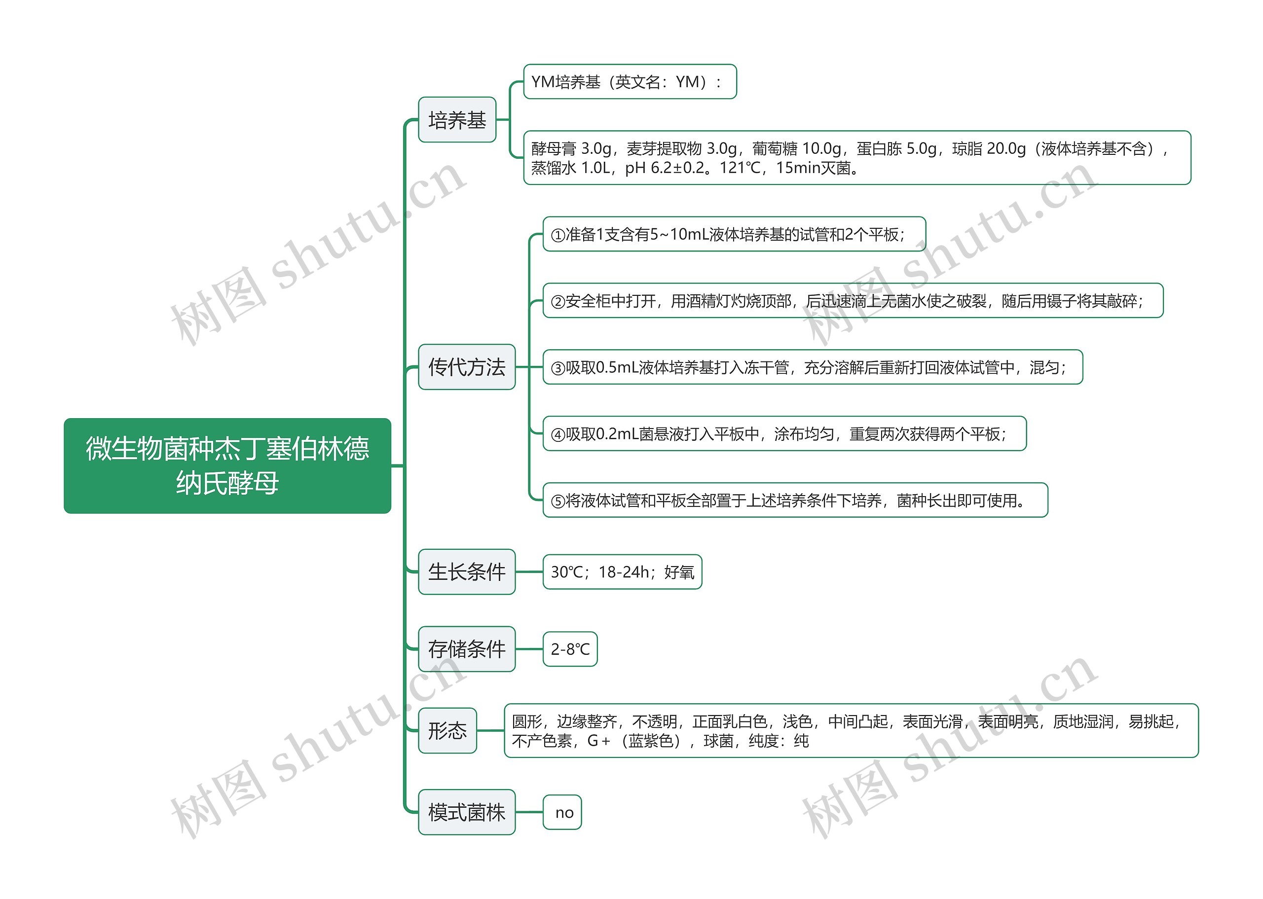 微生物菌种杰丁塞伯林德纳氏酵母思维导图