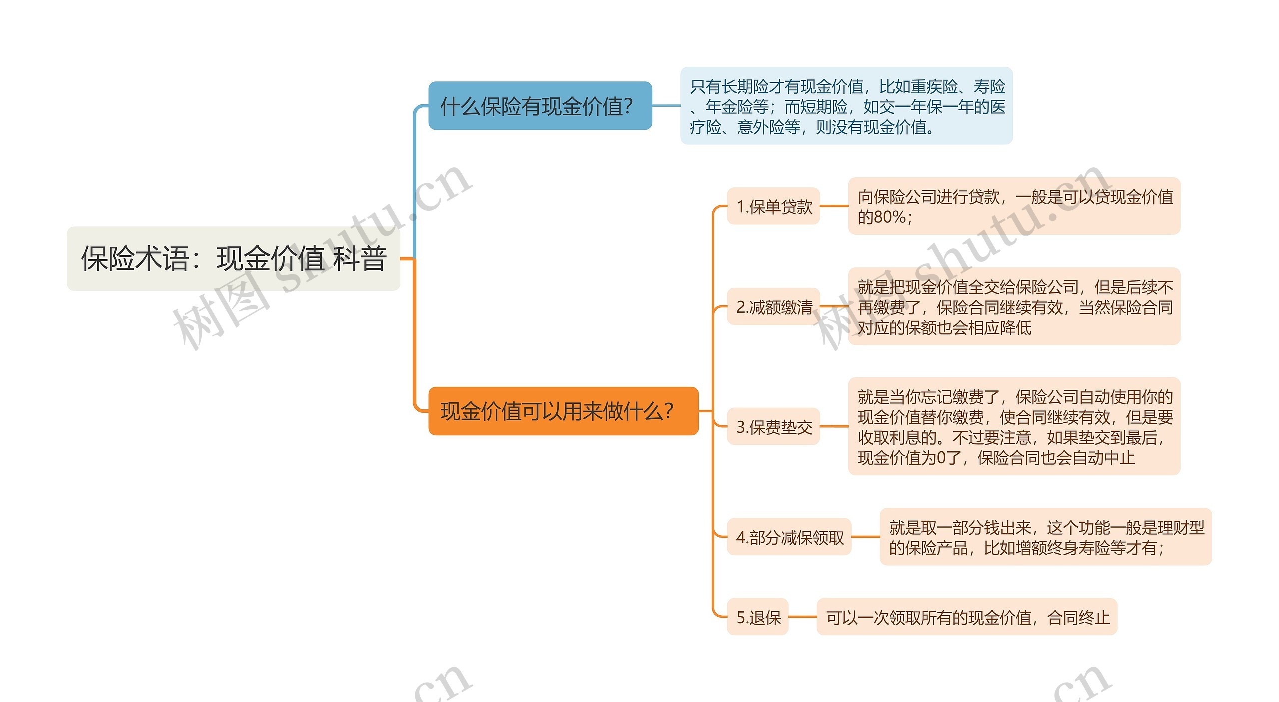 保险术语：现金价值
科普思维导图