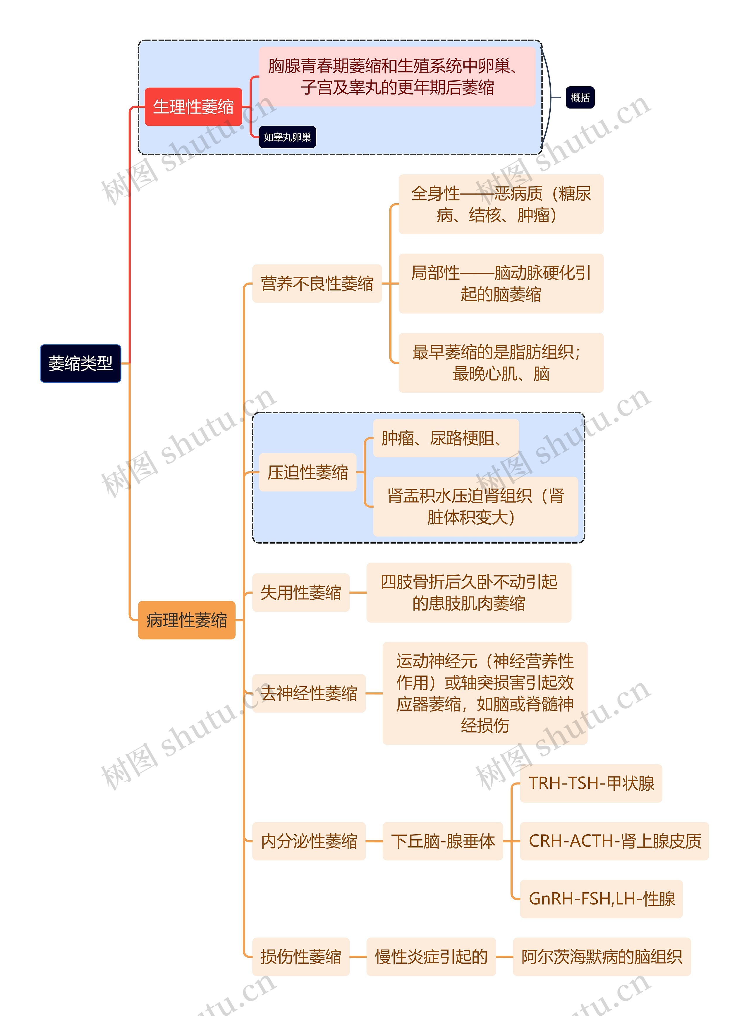 医学知识病理萎缩类型思维导图