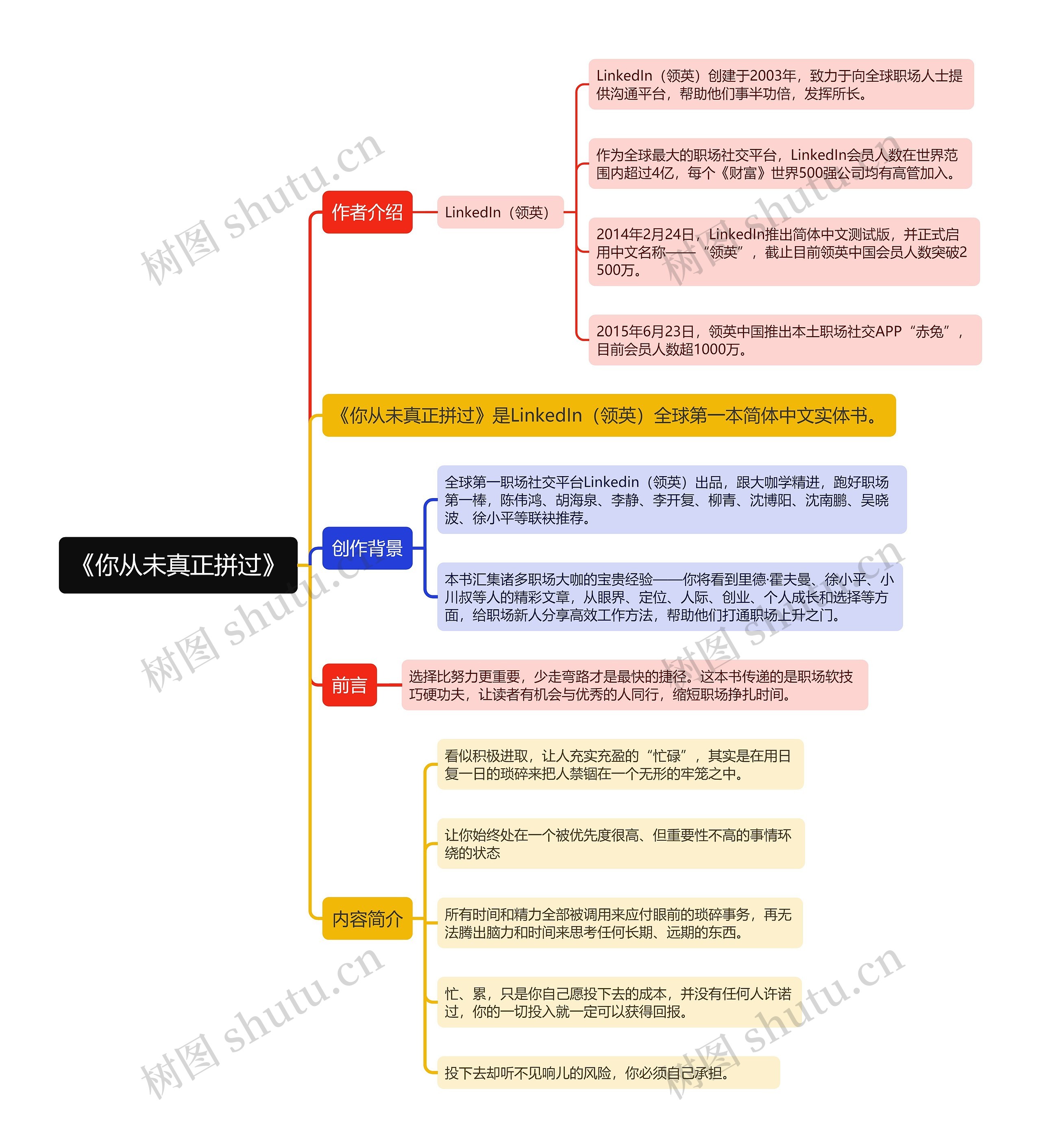 《你从未真正拼过》思维导图