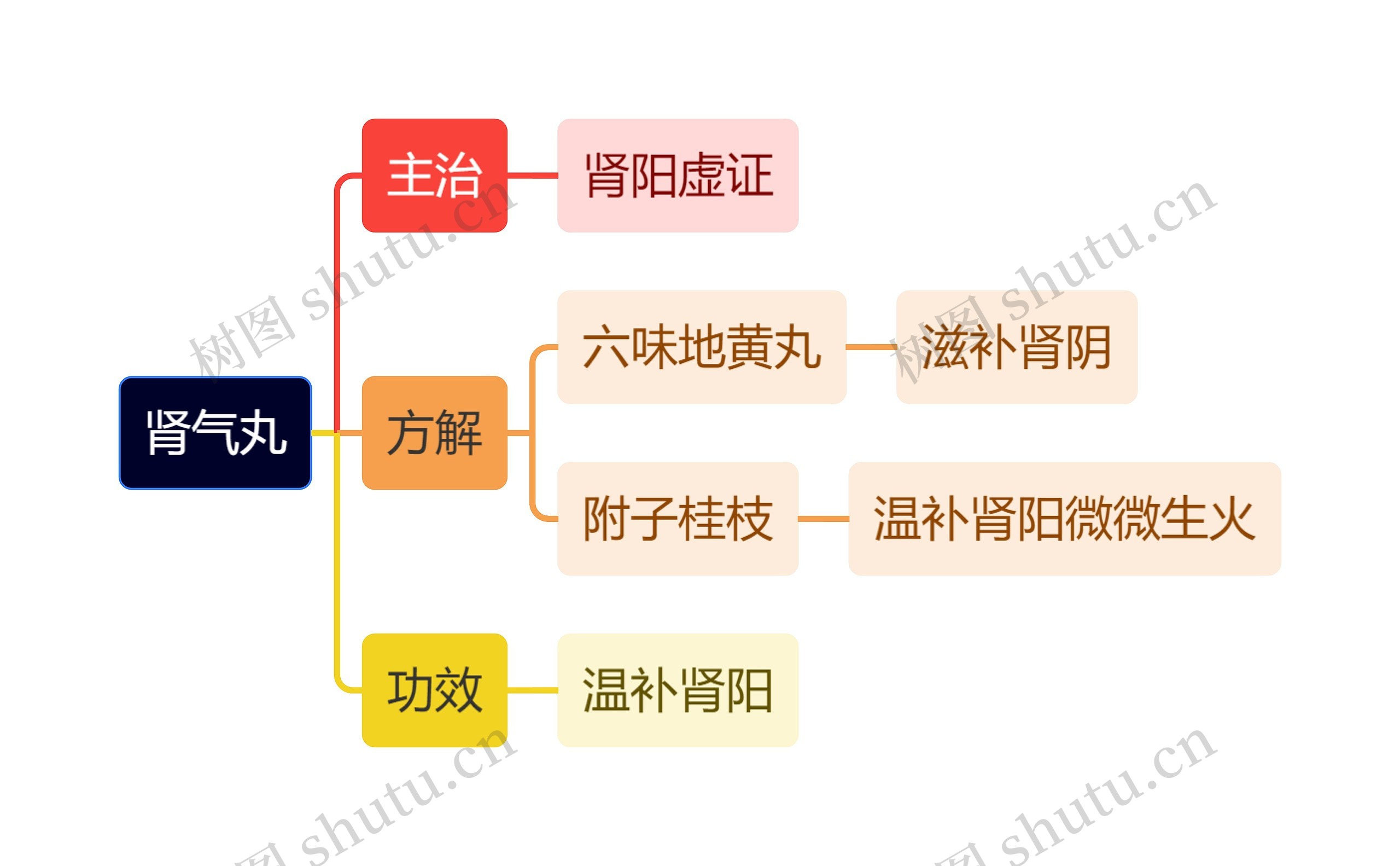 中医知识肾气丸思维导图