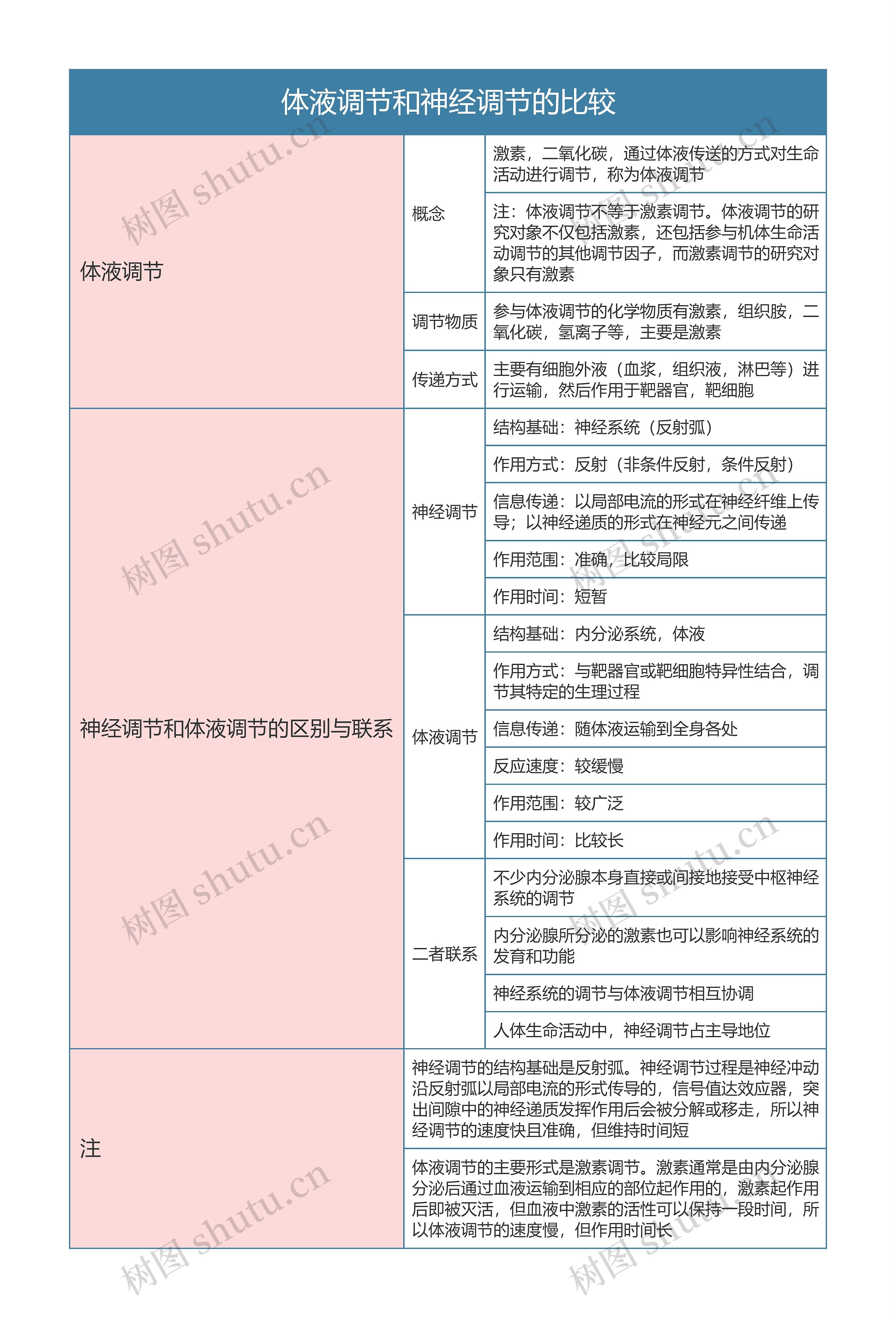高中生物必修三体液调节和神经调节的比较思维导图高清图 高中生物必修三体液调节和神经调节的比较思维导图