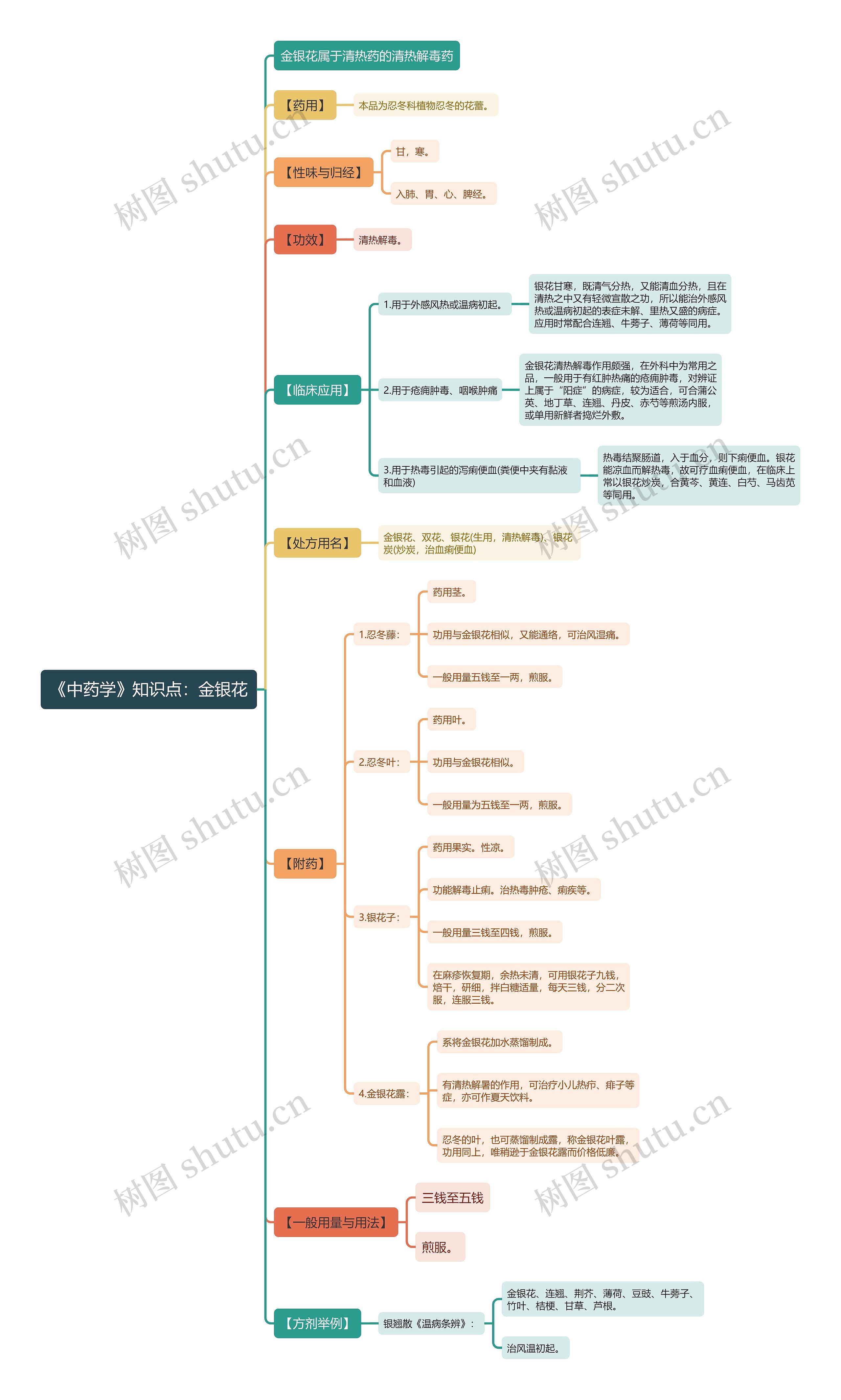 《中药学》知识点：金银花思维导图