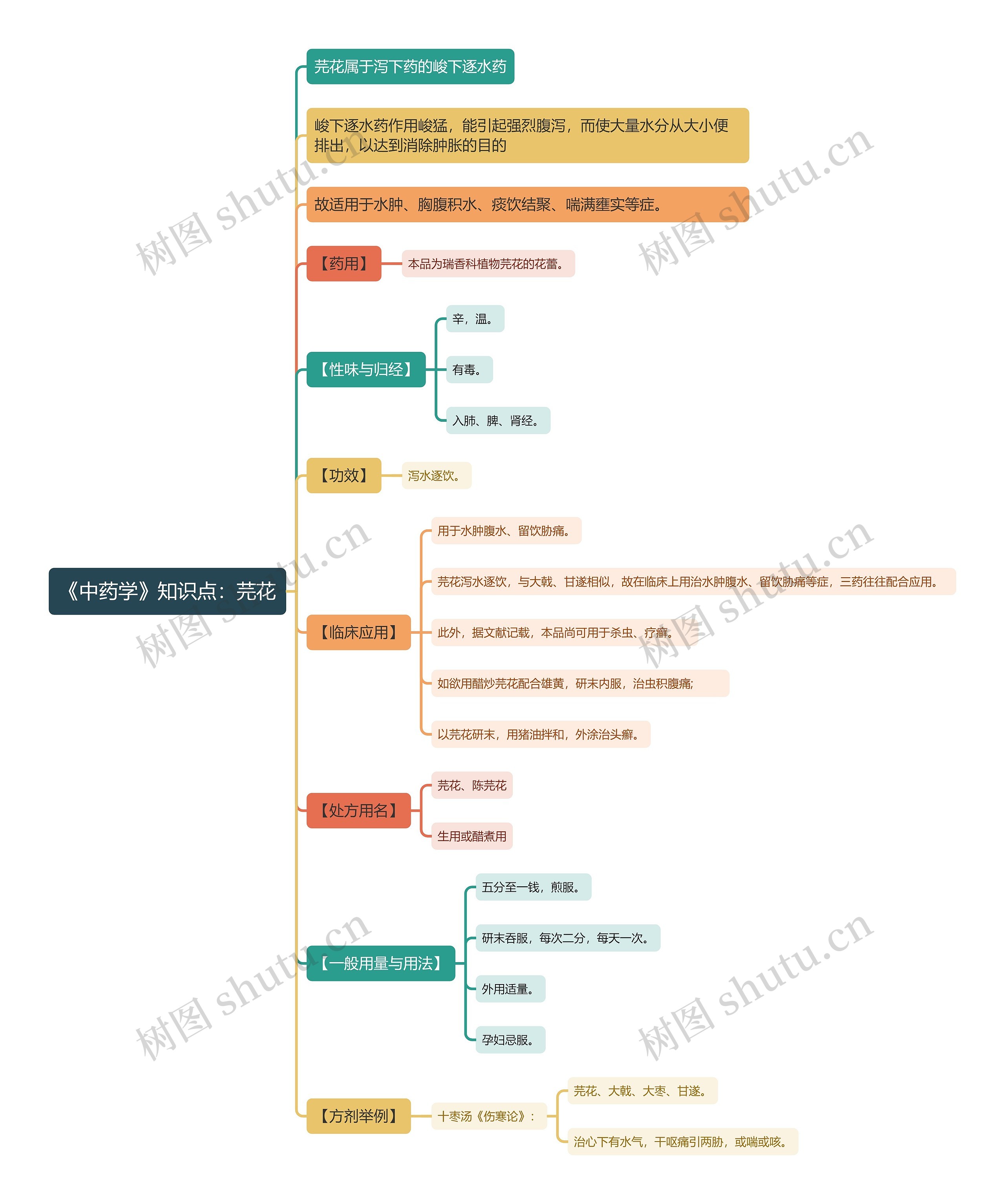 《中药学》知识点：芫花思维导图