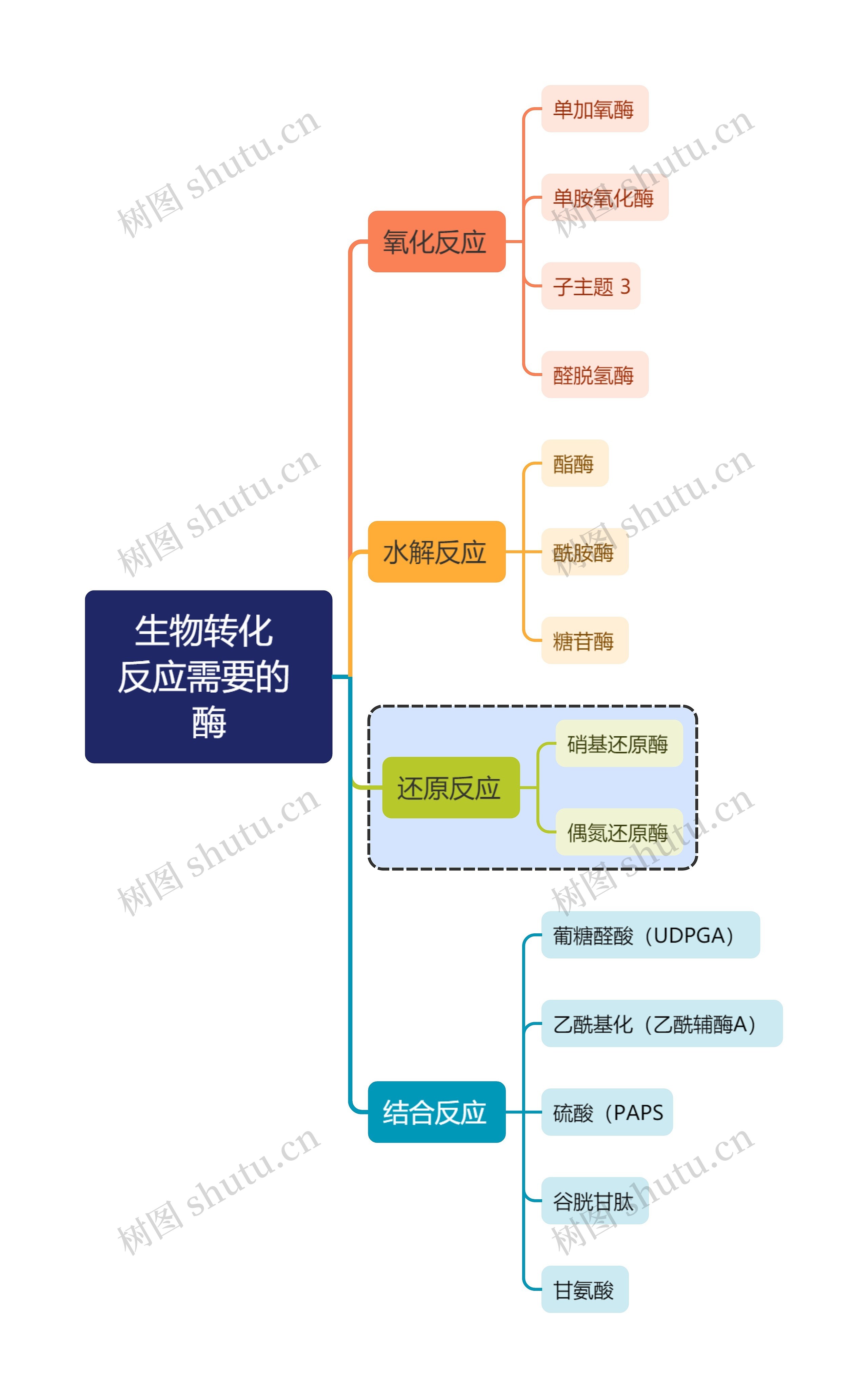 医学知识生物转化反应需要的酶思维导图