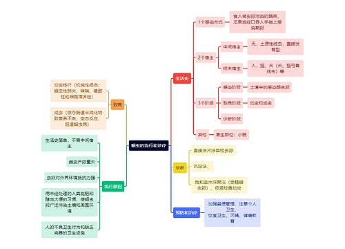 医学知识蛔虫的流行和诊疗思维导图