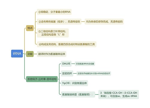 生化tRNA思维导图