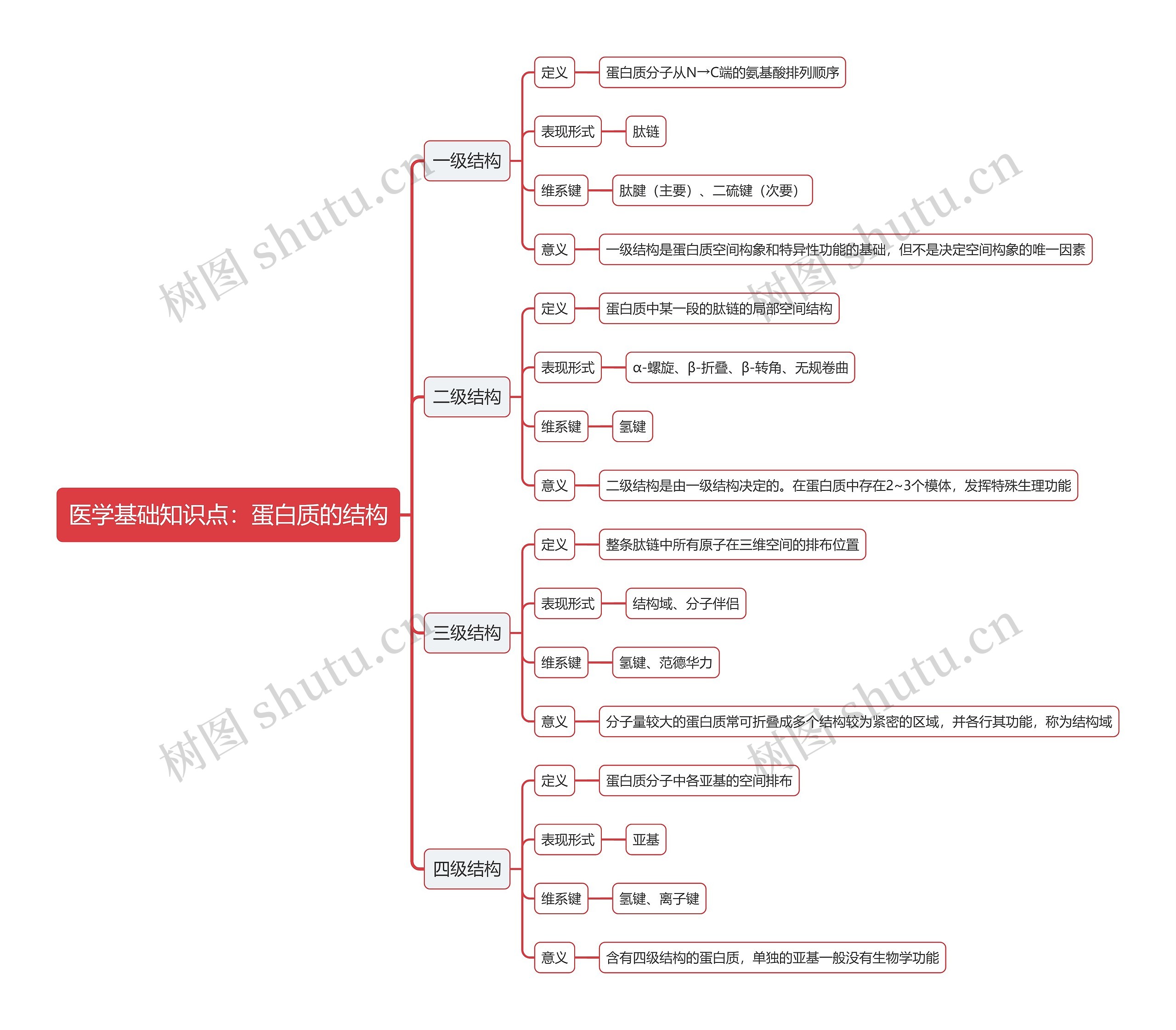 医学基础知识点：蛋白质的结构思维导图
