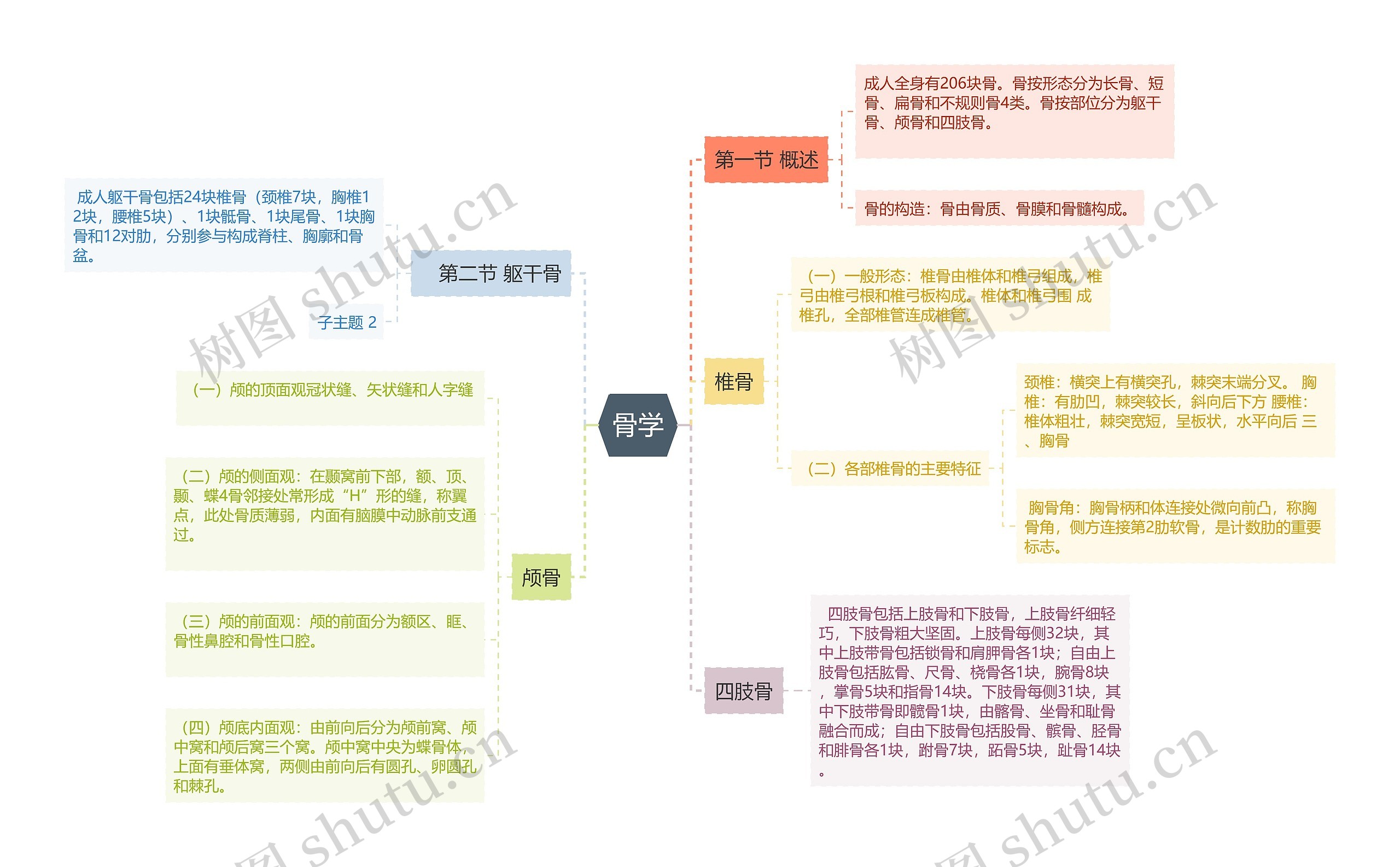 骨学思维导图高清图 骨学思维导图