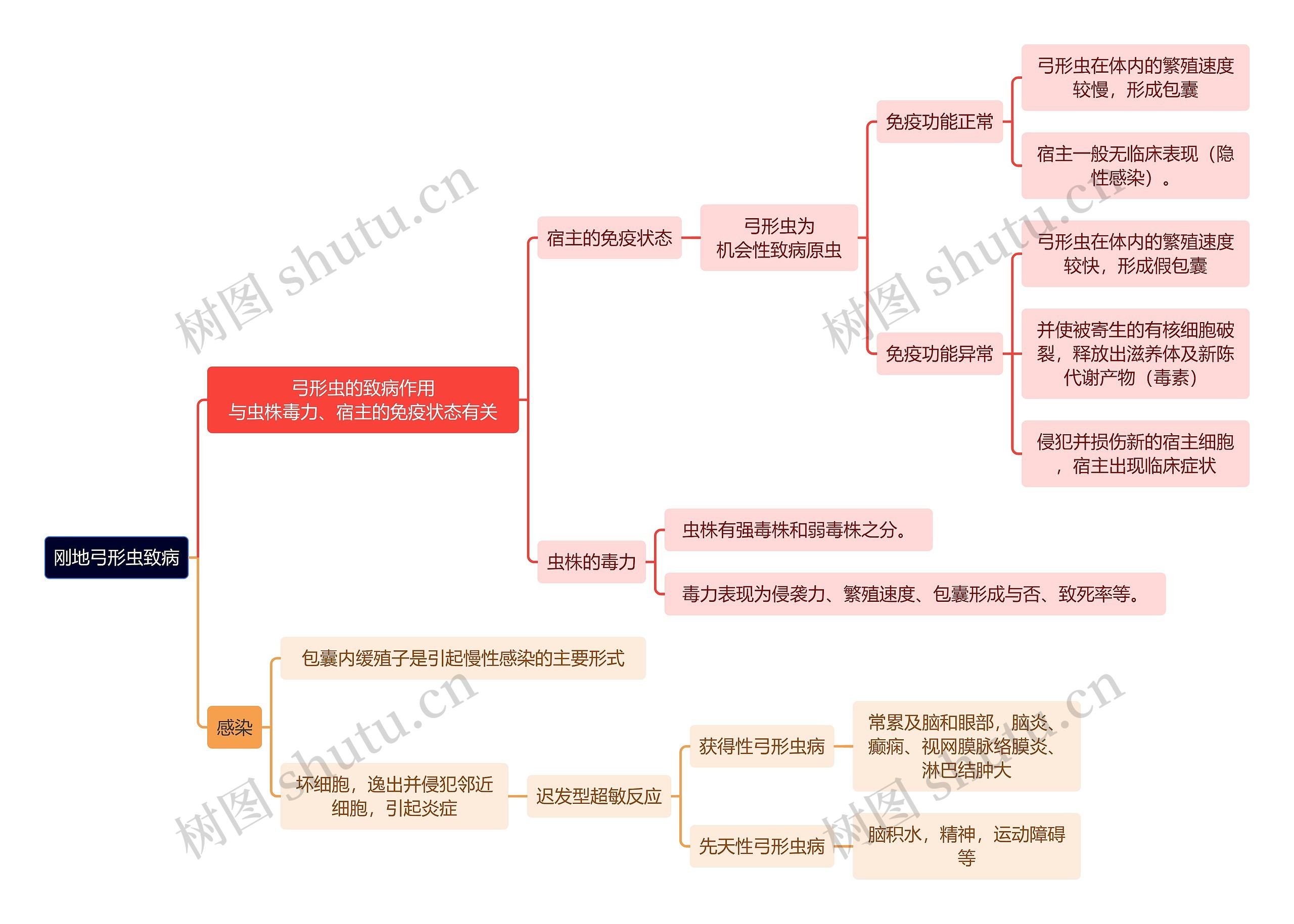 医学知识刚地弓形虫致病思维导图