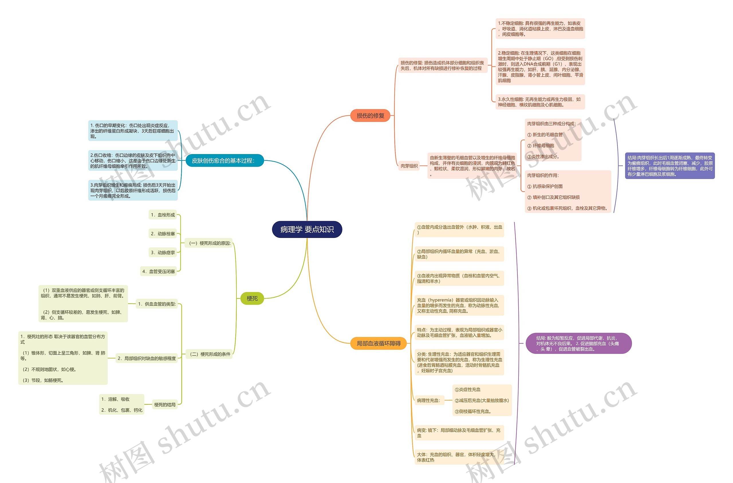 病理学 要点知识思维导图高清图 病理学 要点知识思维导图