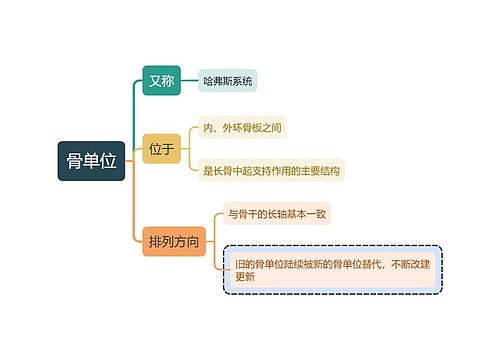 医学知识骨单位思维导图