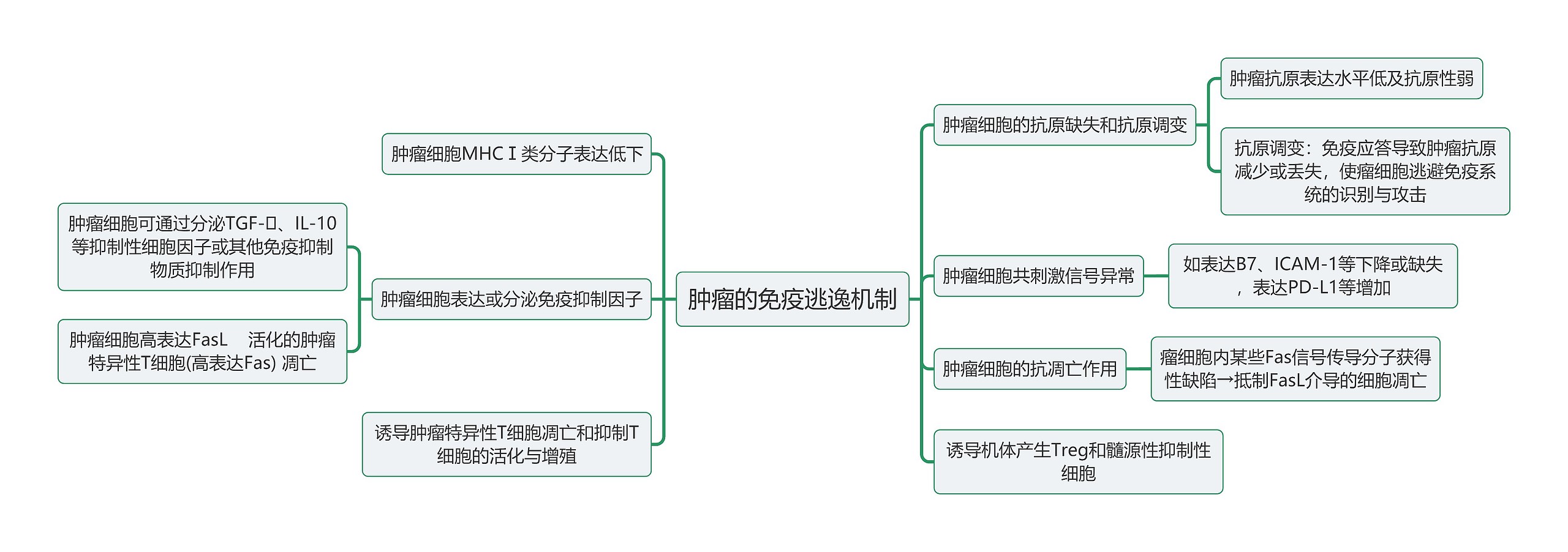 医学知识肿瘤的免疫逃逸机制思维导图