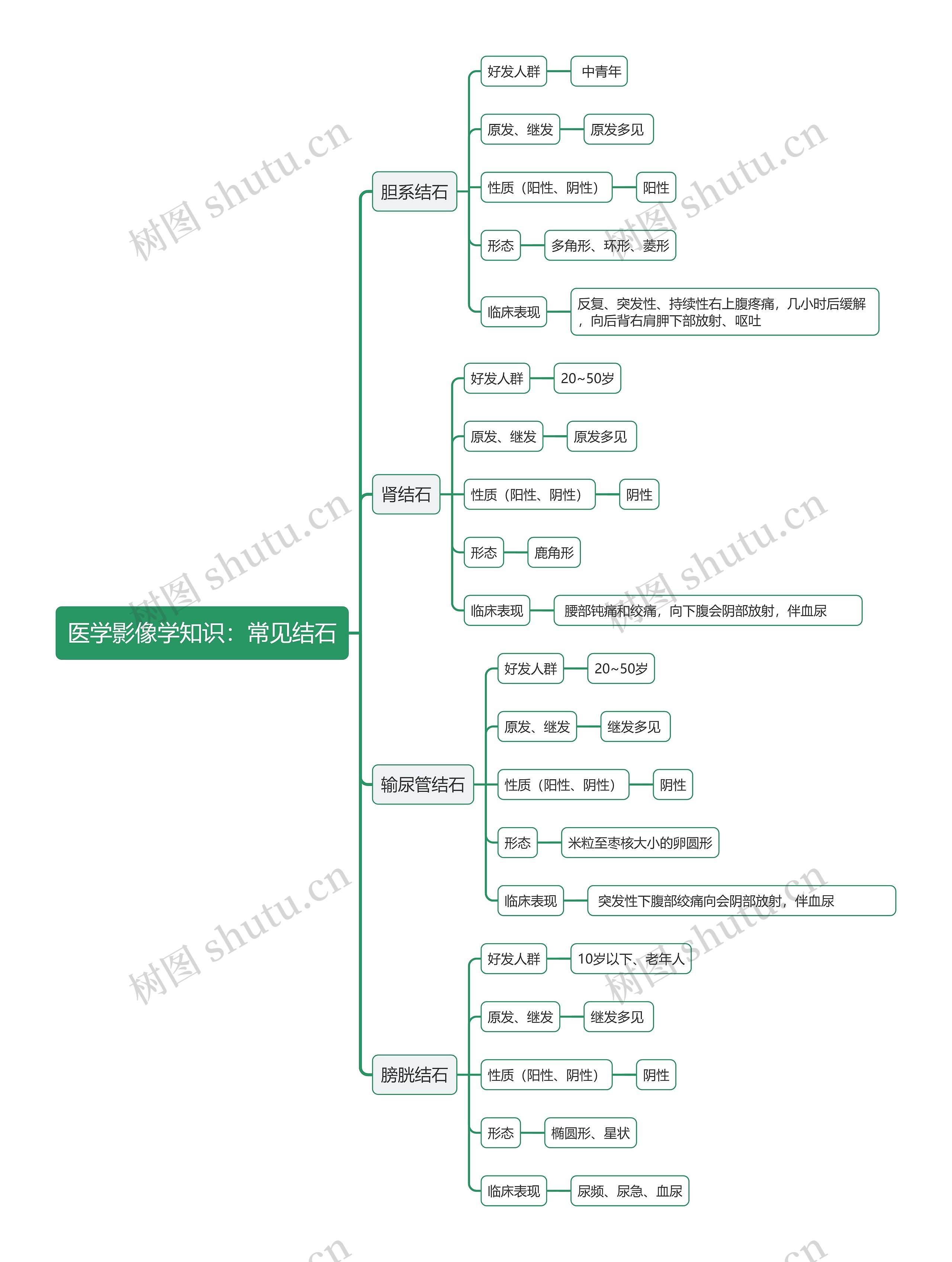 医学影像学知识：常见结石思维导图