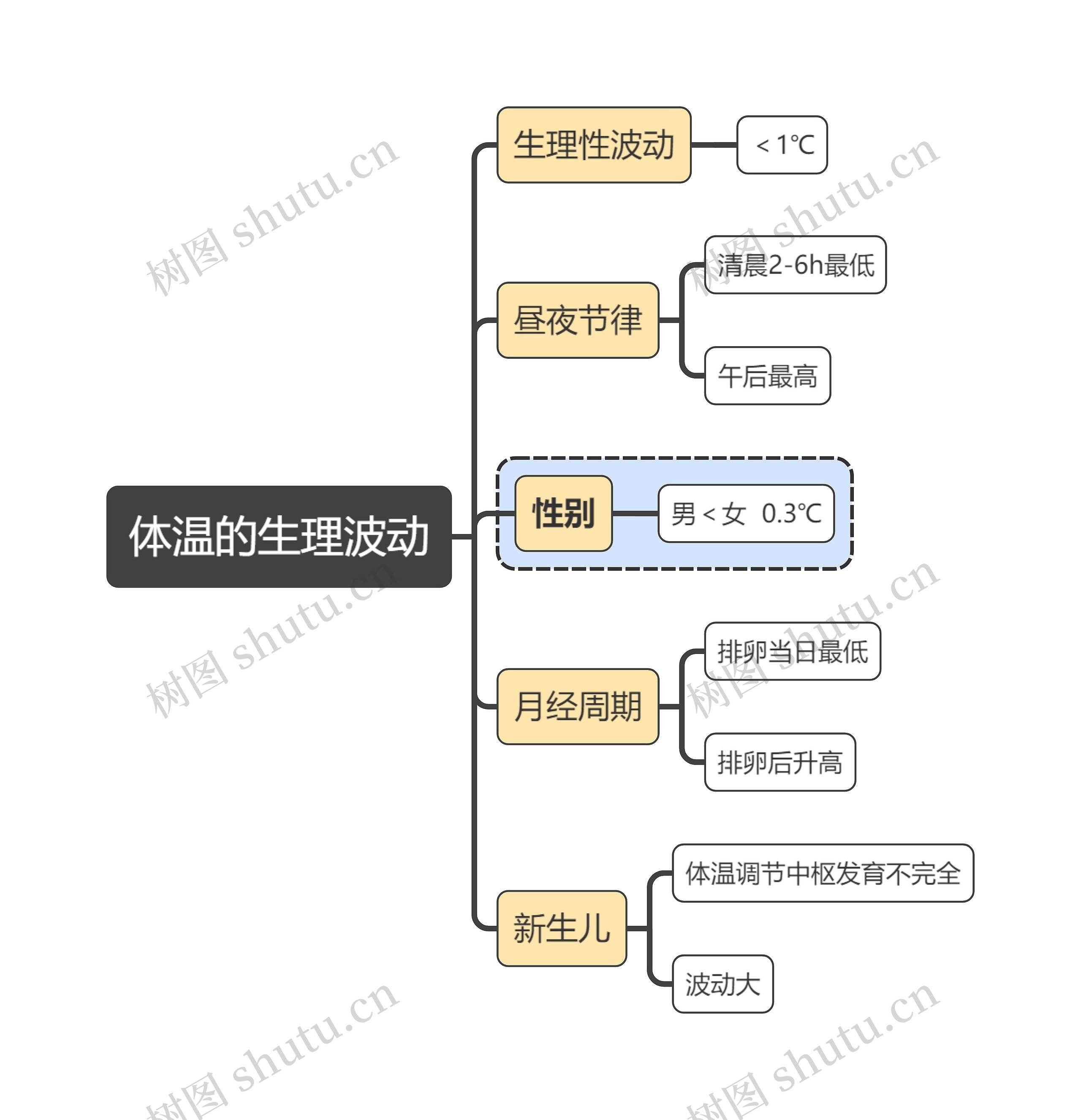 医学知识体温的生理波动思维导图