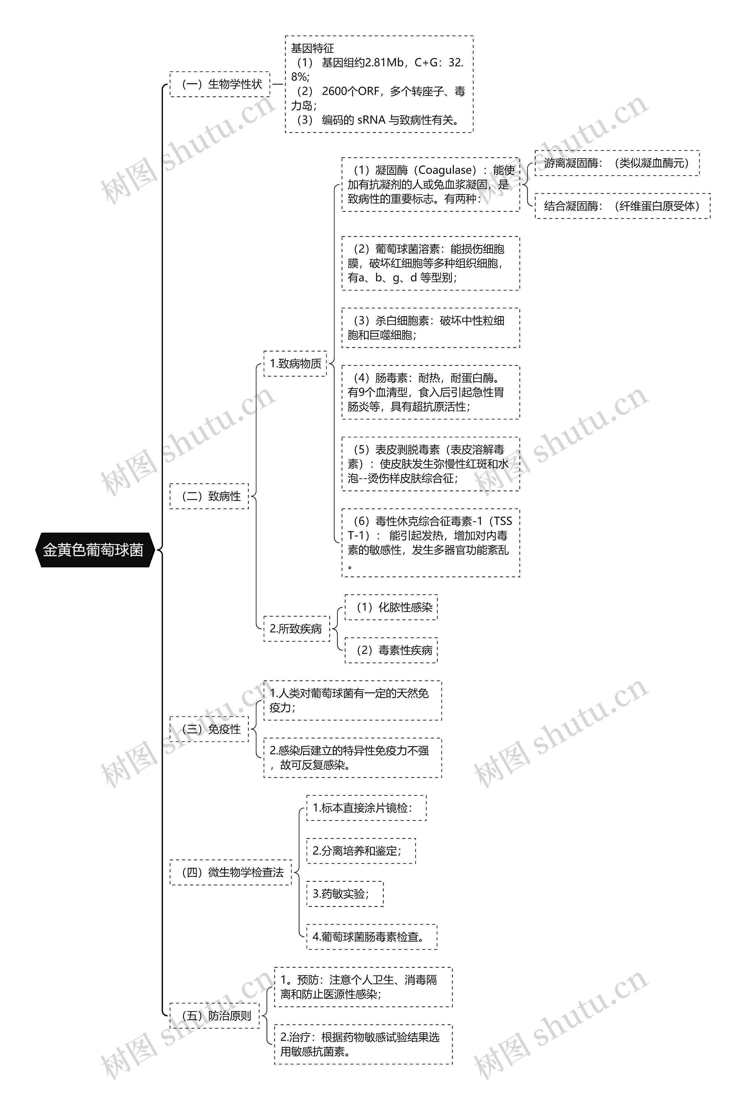 金黄色葡萄球菌思维导图