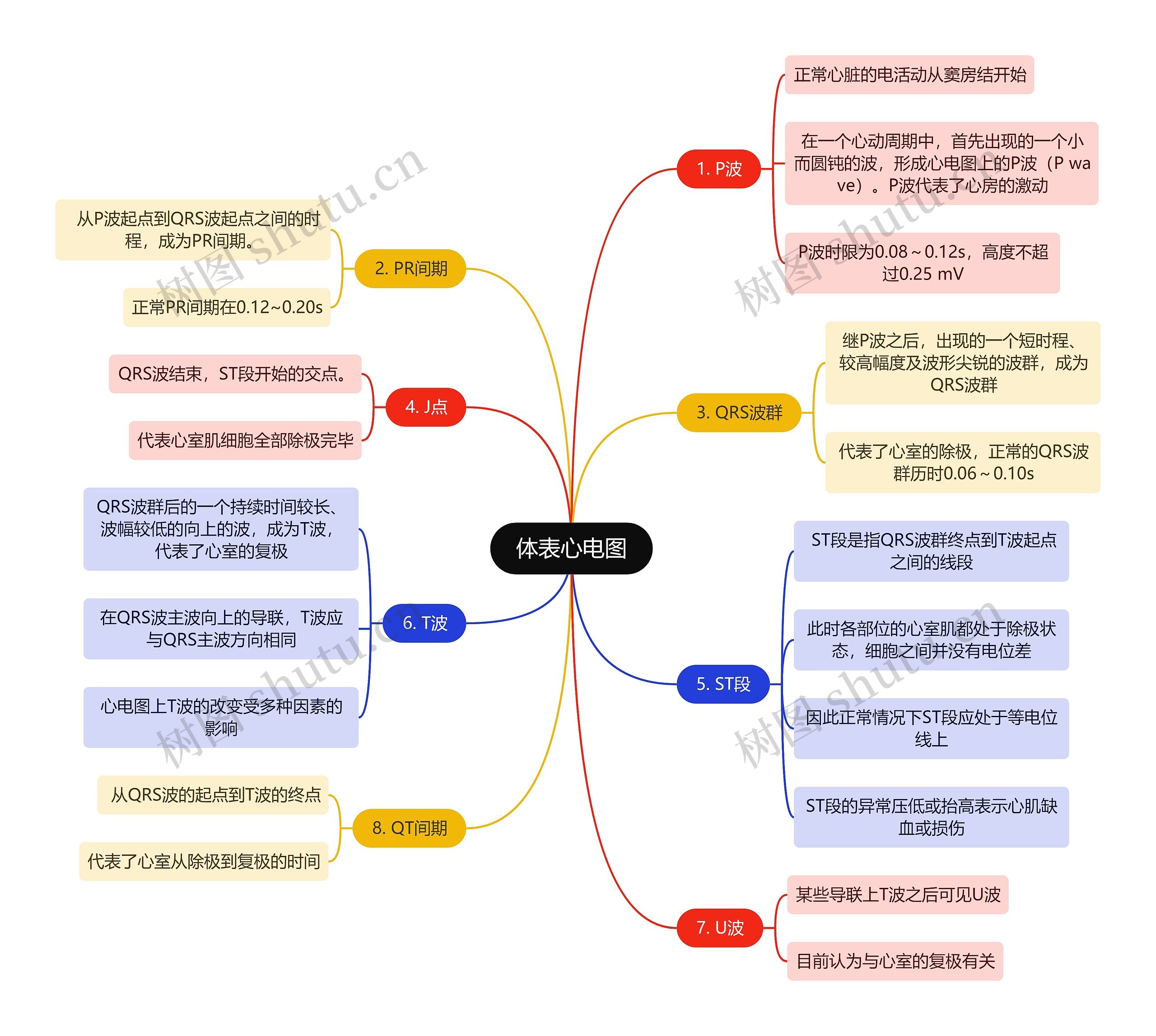 医学知识体表心电图思维导图