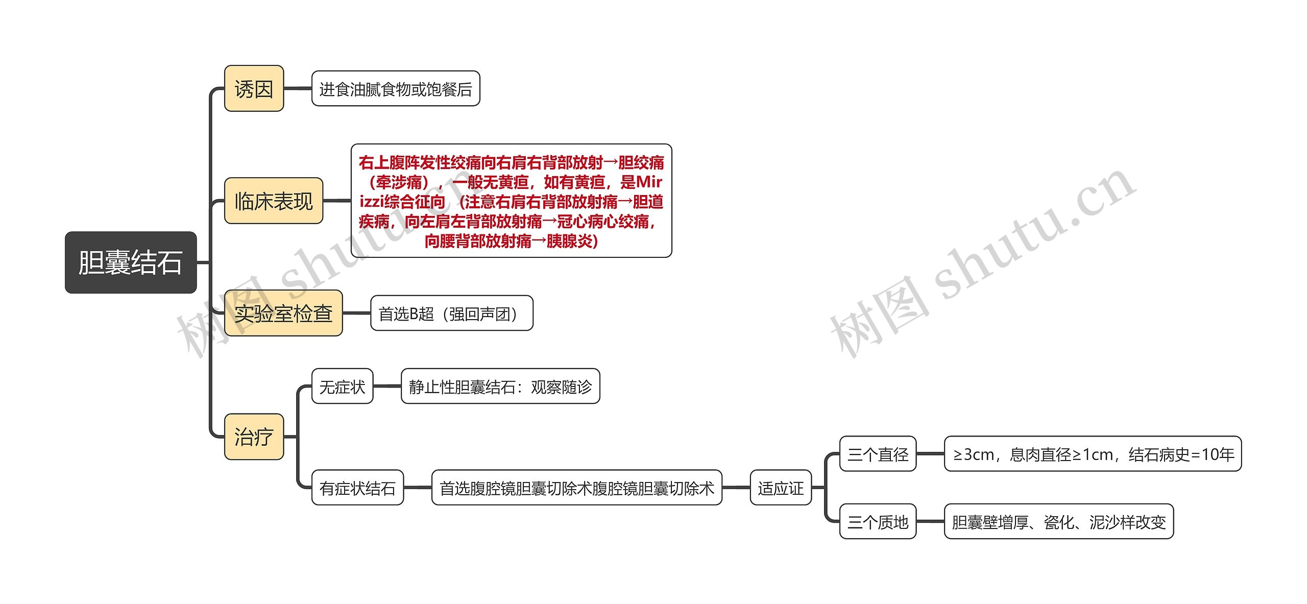 医学知识胆囊结石思维导图