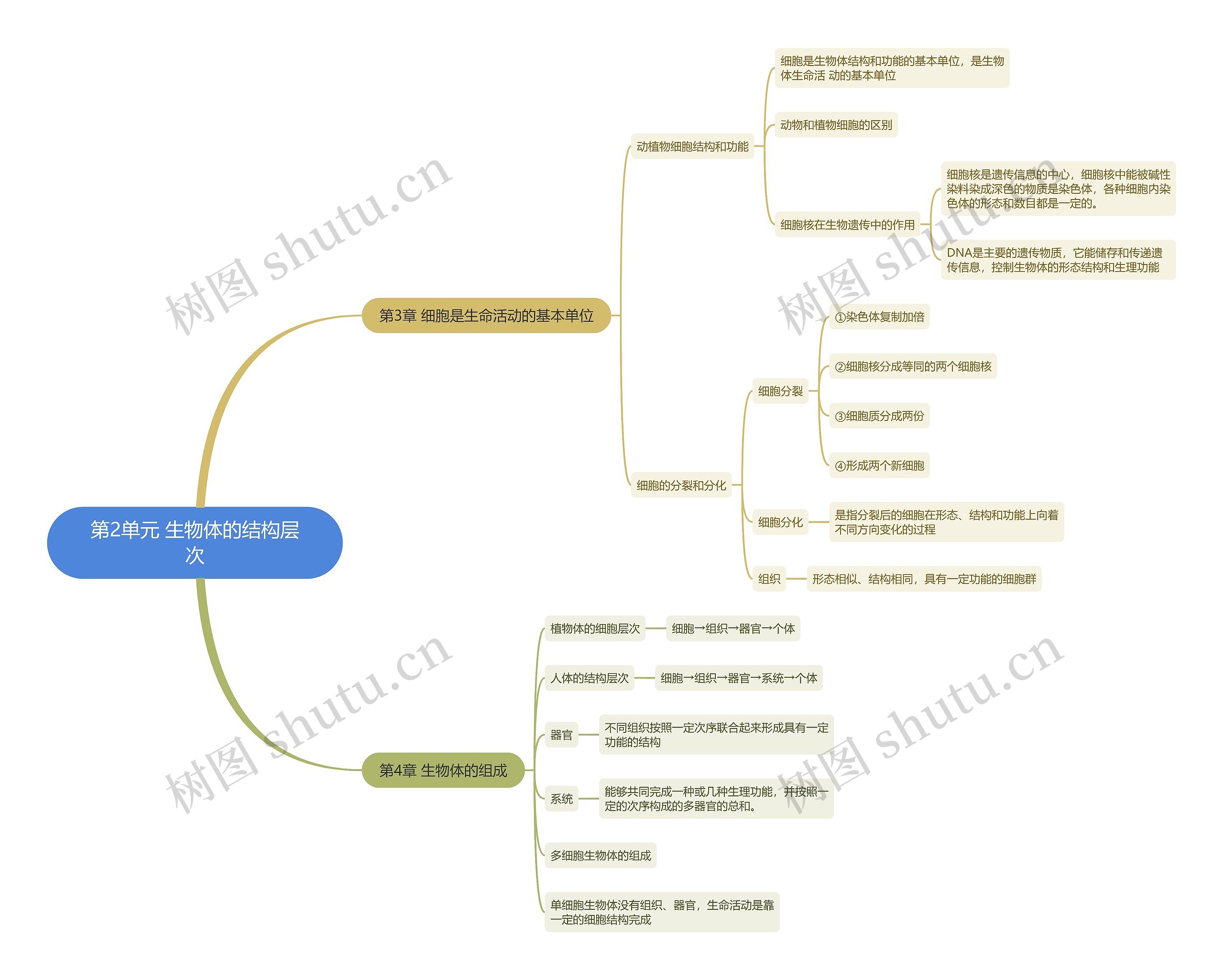 第2单元 生物体的结构层次思维导图高清图 第2单元 生物体的结构层次思维导图