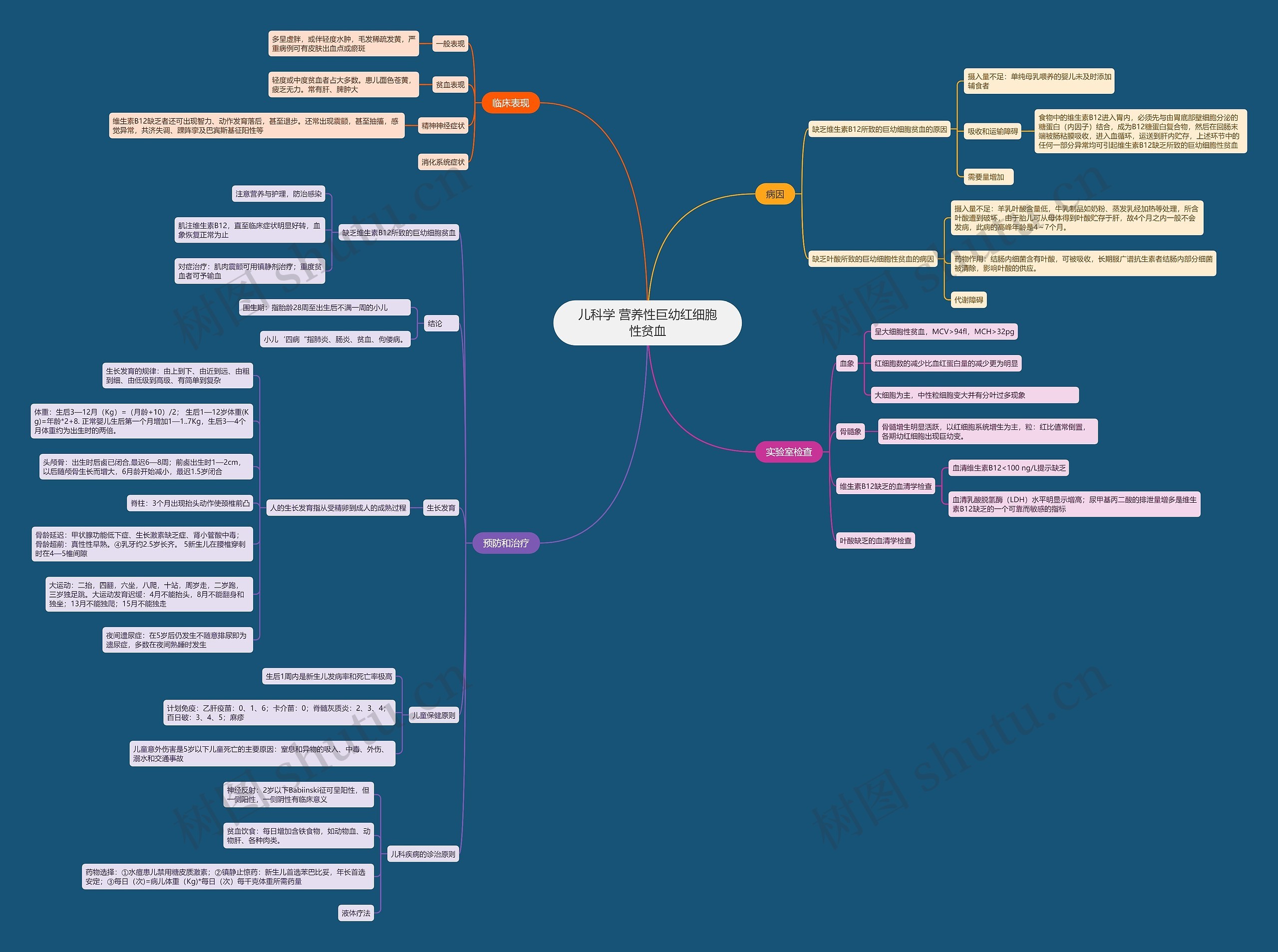 儿科学 营养性巨幼红细胞性贫血思维导图