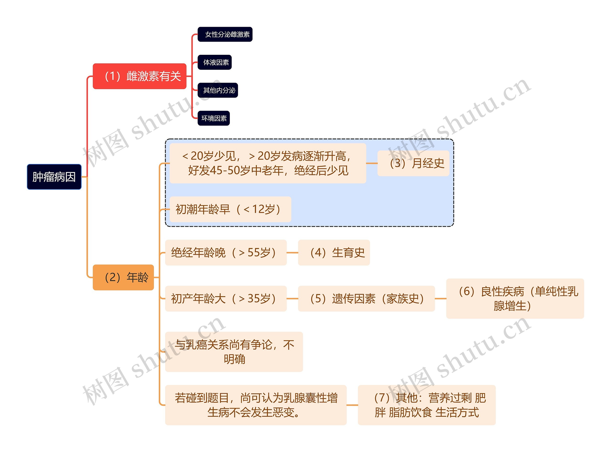 医学知识肿瘤病因思维导图