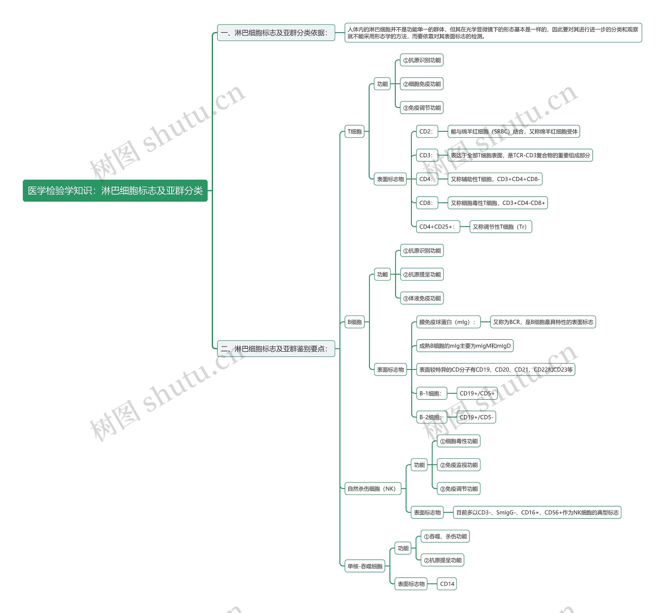 医学检验学知识：淋巴细胞标志及亚群分类思维导图