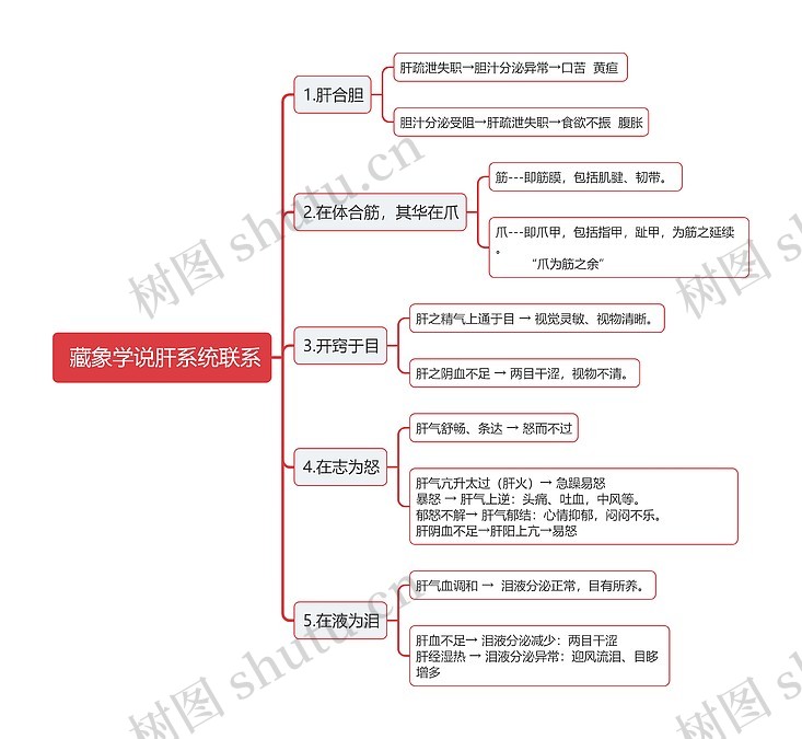 藏象学说肝系统联系思维导图_编号t6392435-TreeMind树图