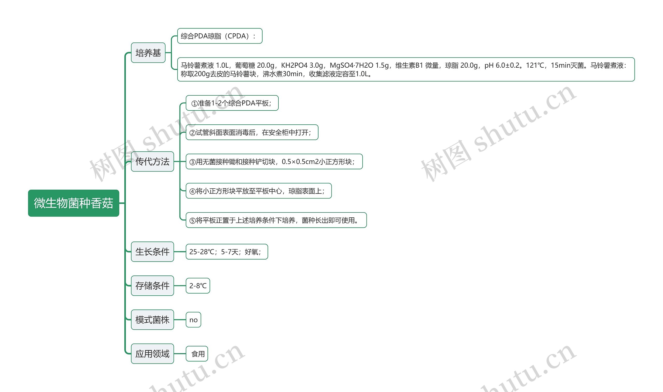 微生物菌种香菇思维导图