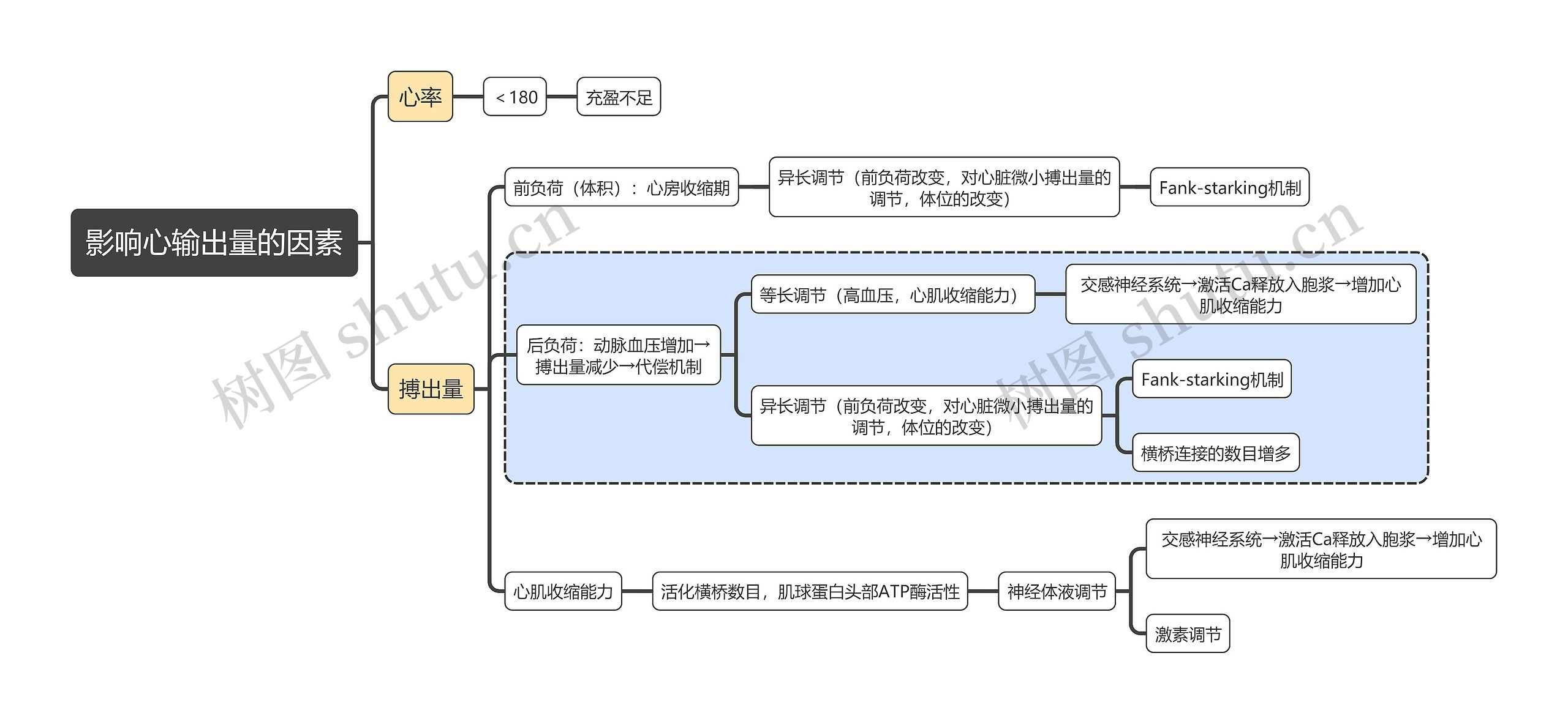 医学知识影响心输出量的因素思维导图