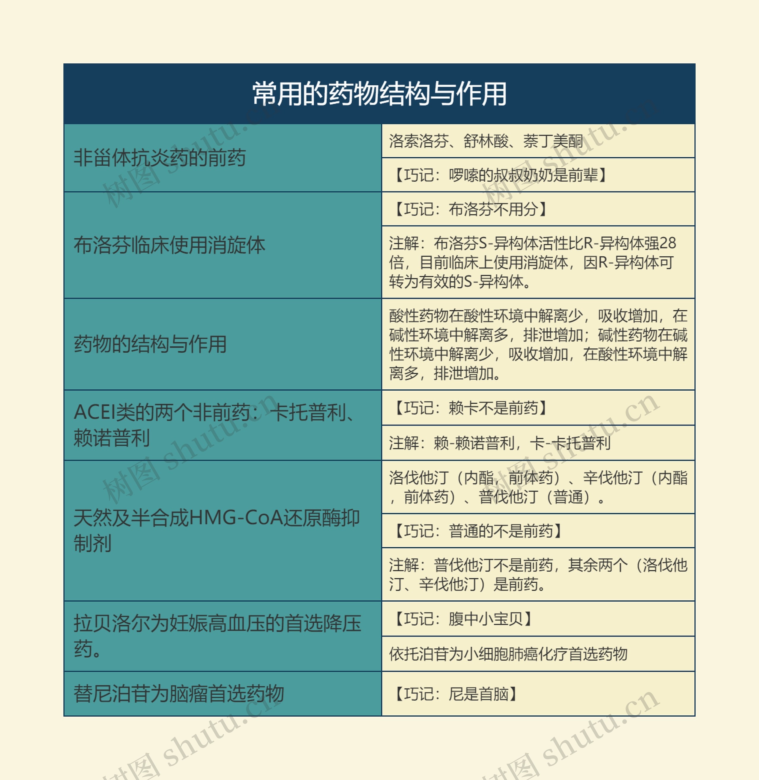 常用的药物结构与作用的主要知识点思维导图