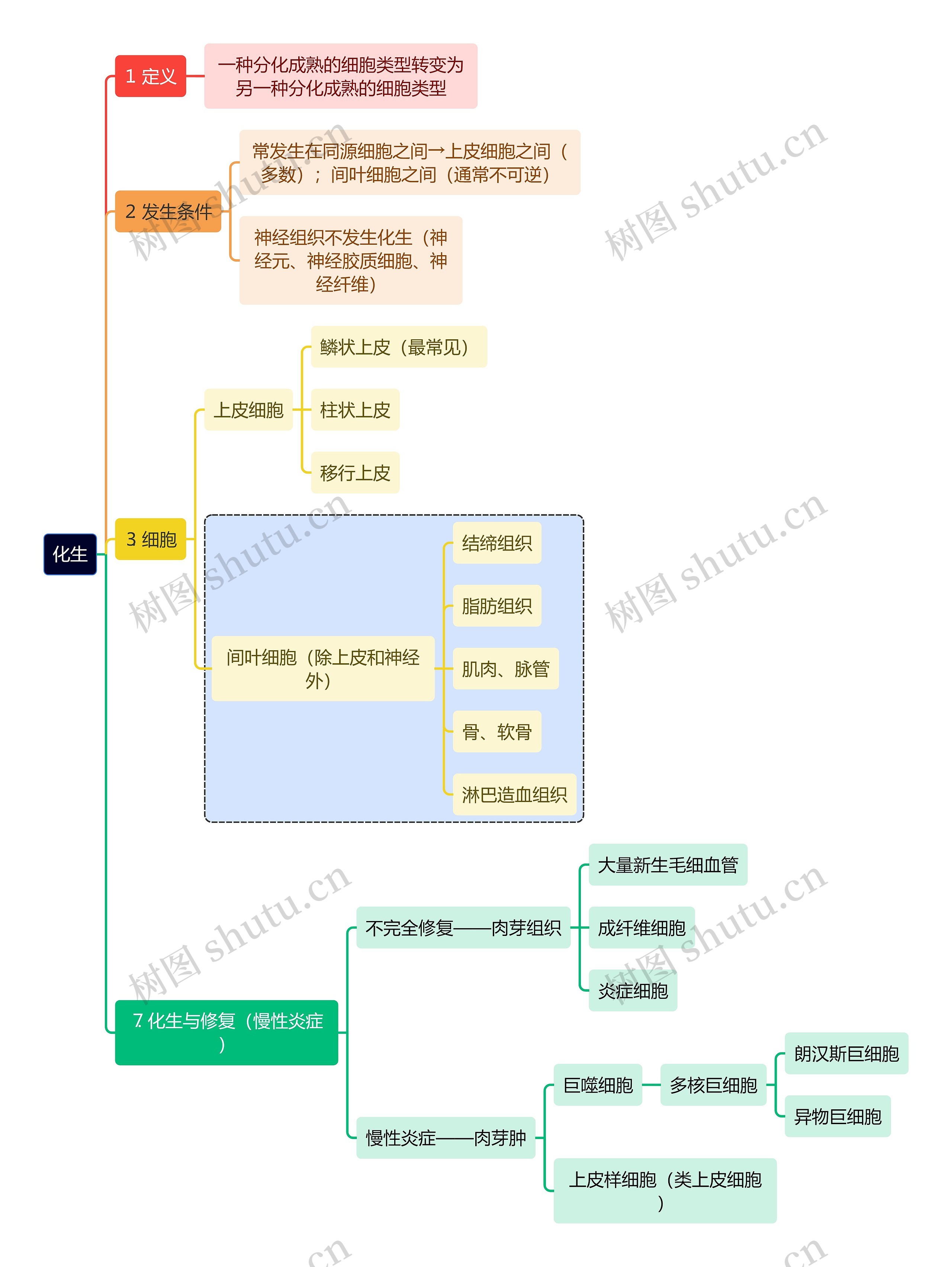 医学知识化生思维导图