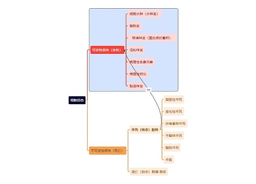 医学知识细胞损伤思维导图