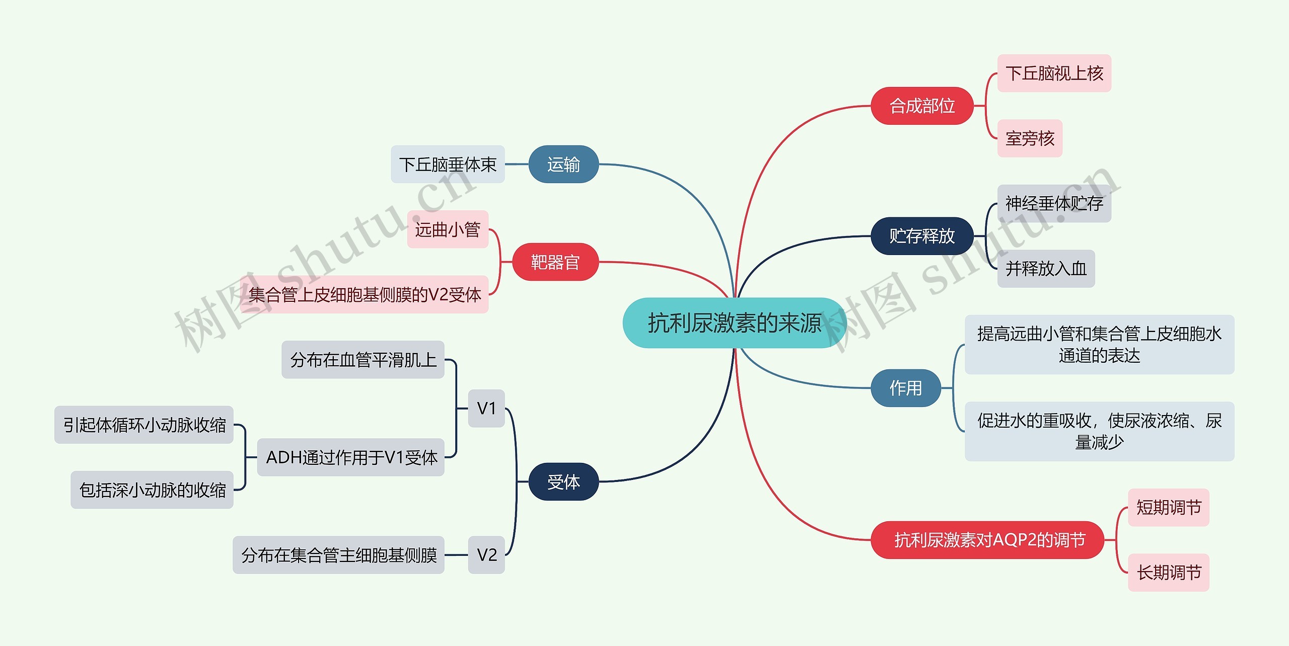 医学知识抗利尿激素的来源思维导图