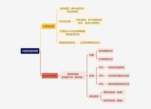 医学知识大脑皮质的调控思维导图