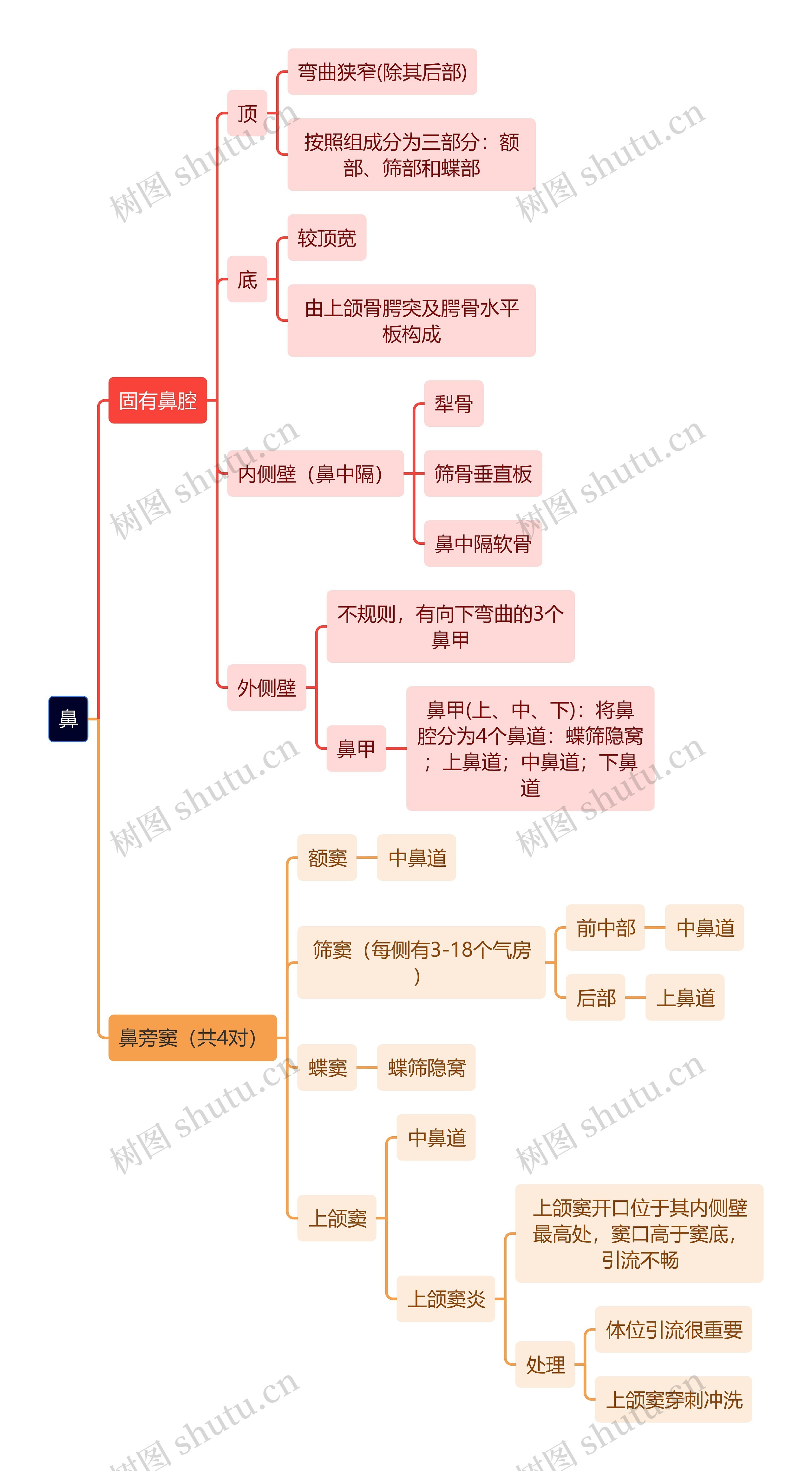 解剖学知识鼻思维导图